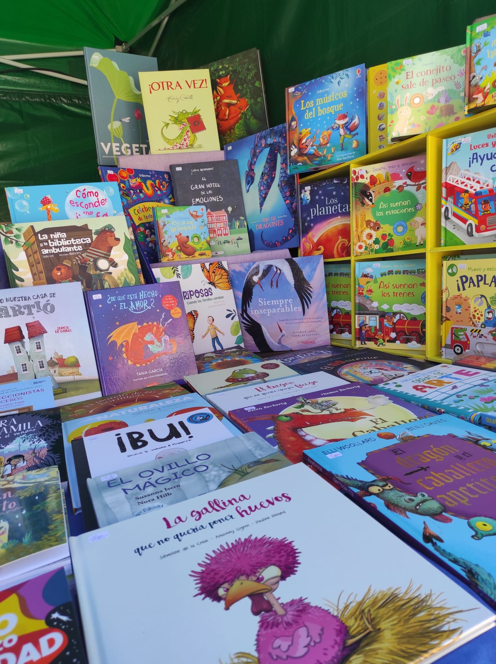 Día del libro Zamora 2024