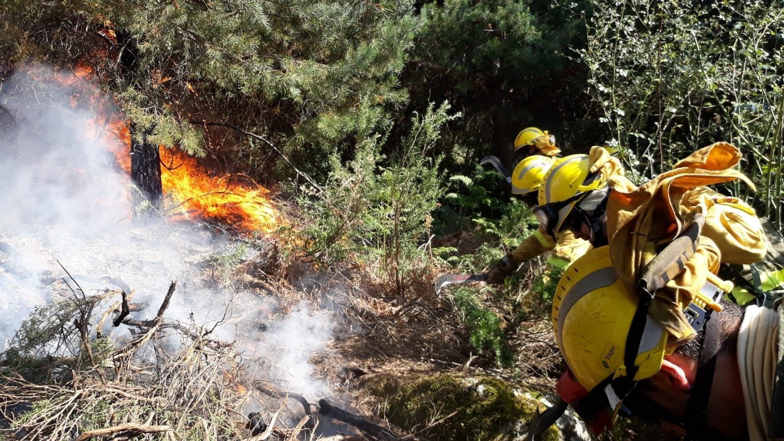 Inc.- Un total de 11 medios aéreos y 68 personas trabajan en el fuego de La Granja que afecta a unas 40 hectáreas