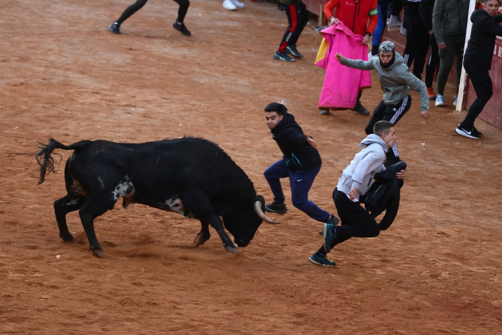 Capea de martes por la tarde en el Carnaval del Toro 2026