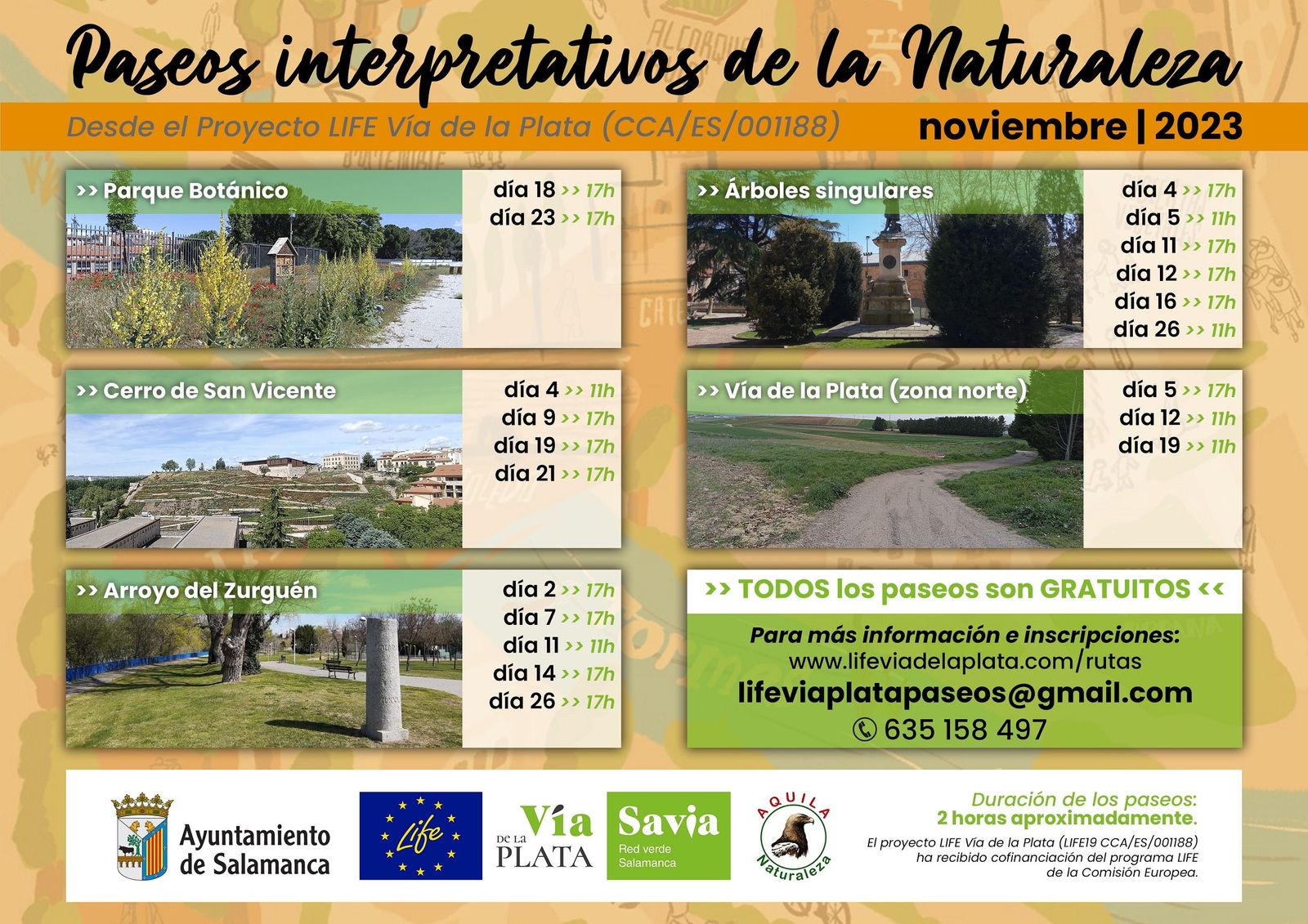 Cartel paseos Noviembre