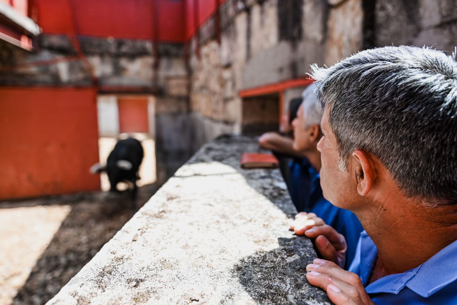 sorteo-de-los-toros-para-el-mano-a-mano-entre-morante-de-la-puebla-y-marco-perez-en-salamanca-fotos-bmf-toros-17