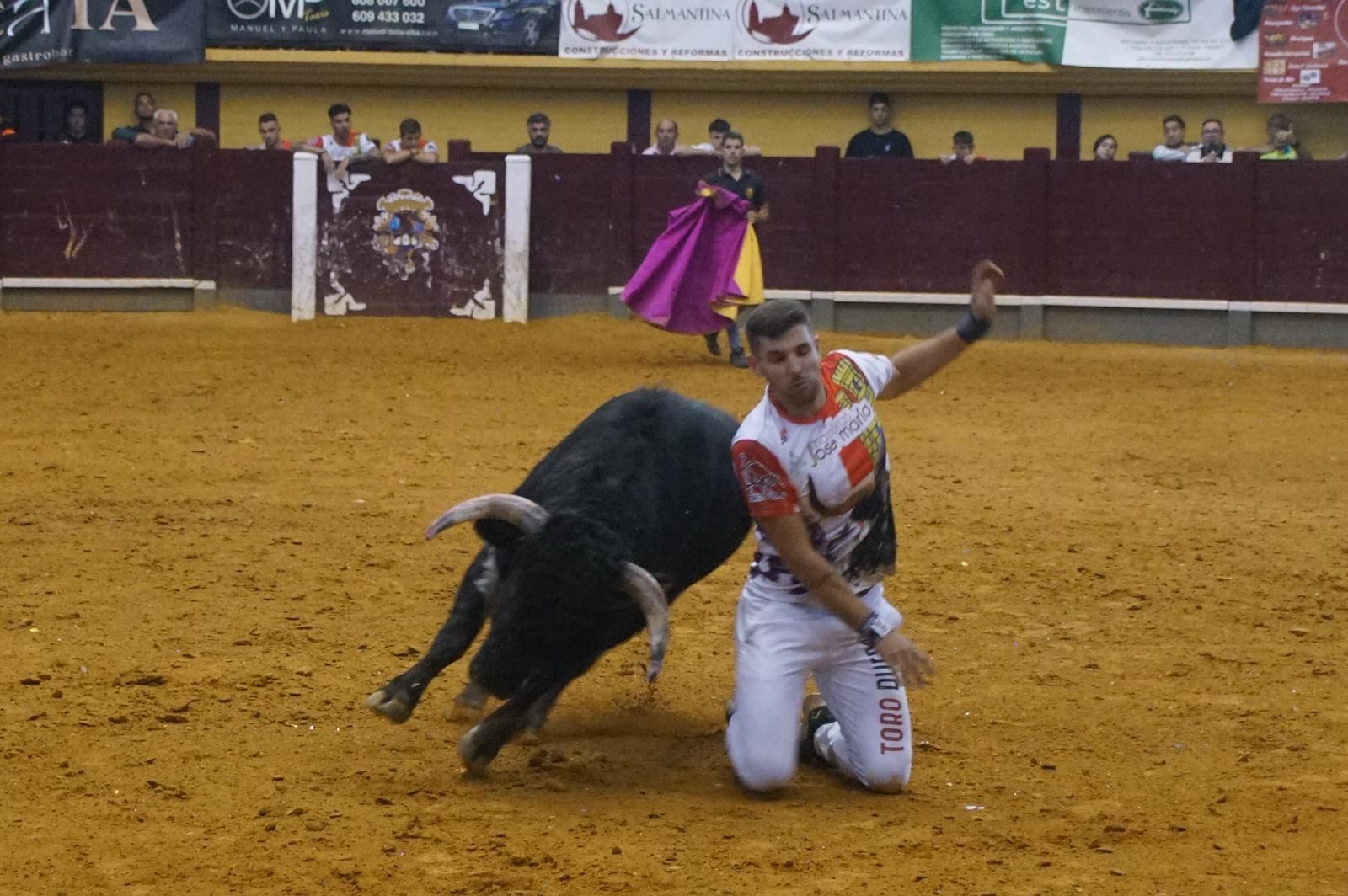 Alba de Tormes celebra un nuevo concurso de cortes