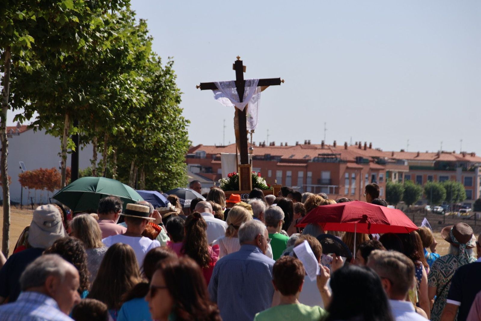 20240804103422-img-2274