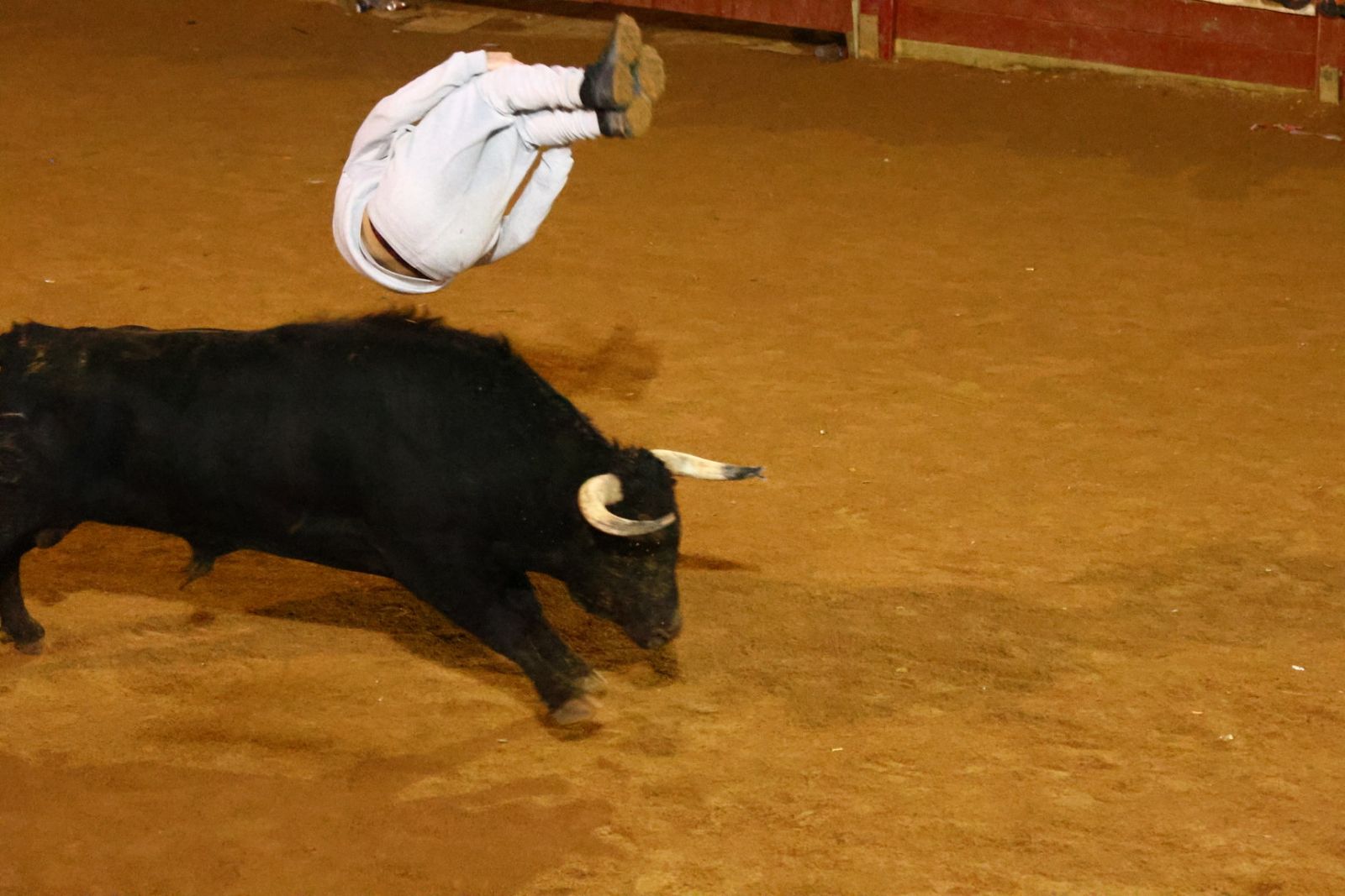 Dos toros de Brazuelas para el arranque del martes, el último día del Carnaval del Toro