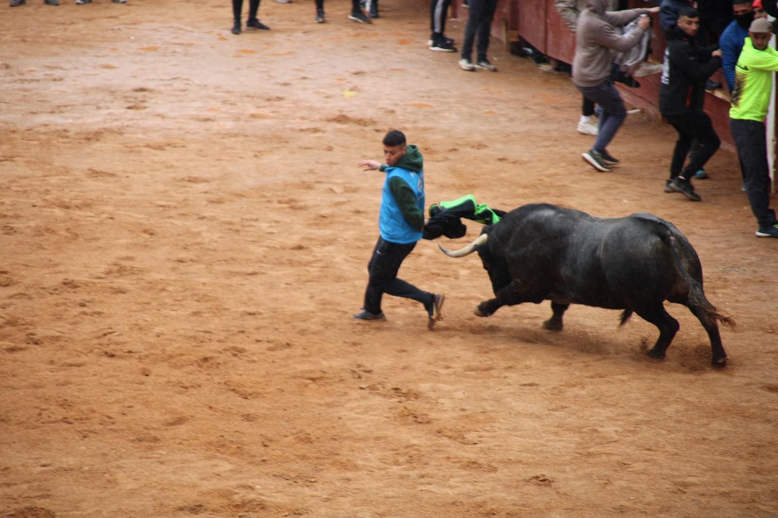 whatsapp-image-2025-03-03-at-12-46-51