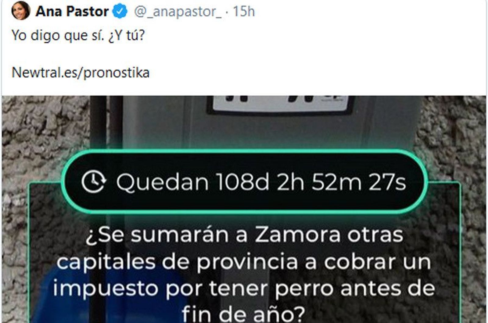 Anapastor debate perro