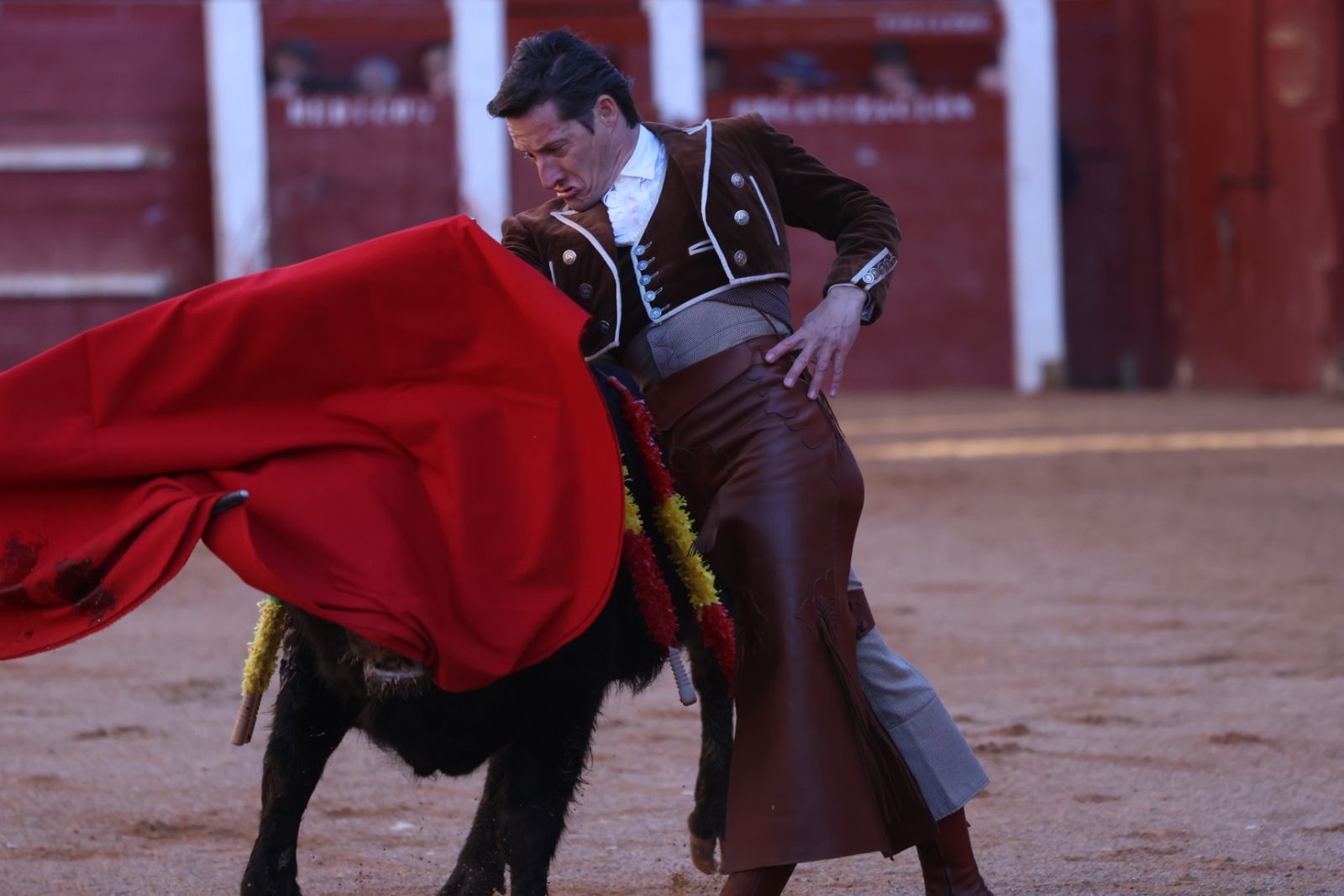 Festival taurino del Sábado en el Carnaval del Toro 2026 de Ciudad Rodrigo