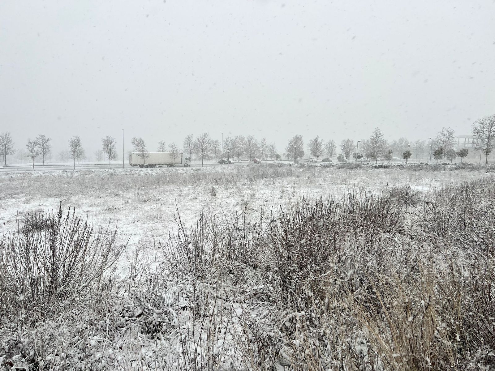 Nevada en Salamanca 28 de enero 2026
