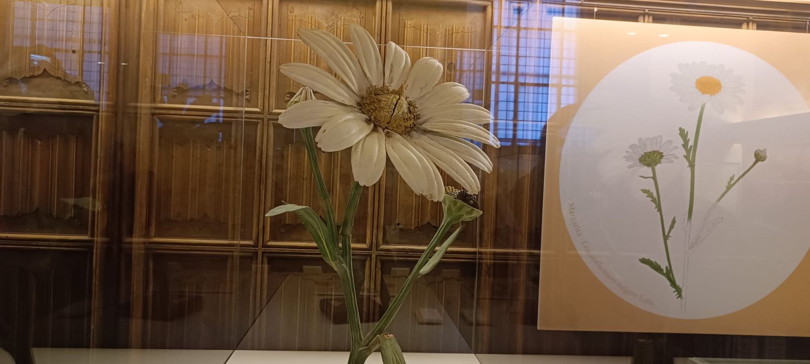 exposicion-botanica-25