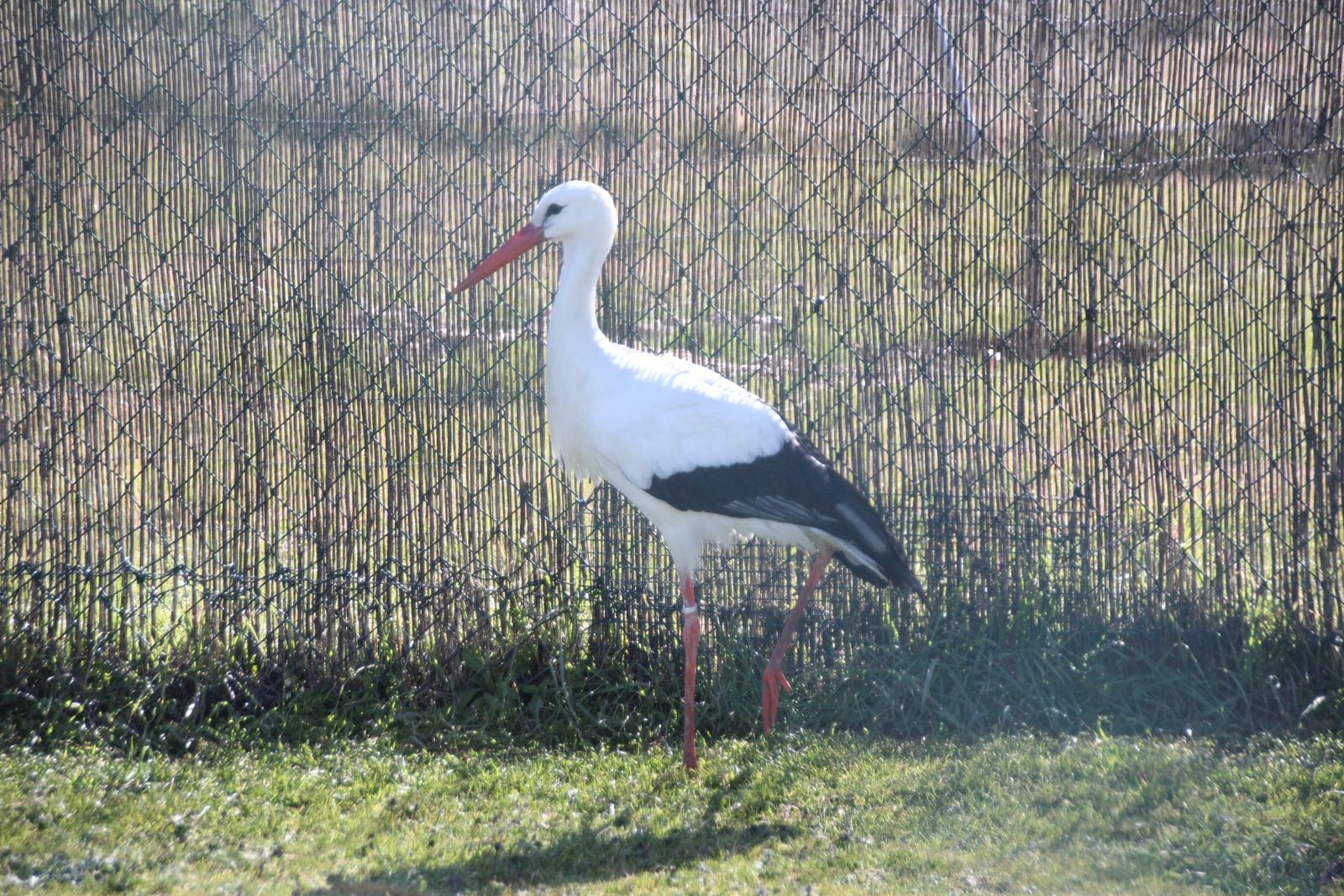 20230304151419-img-1648