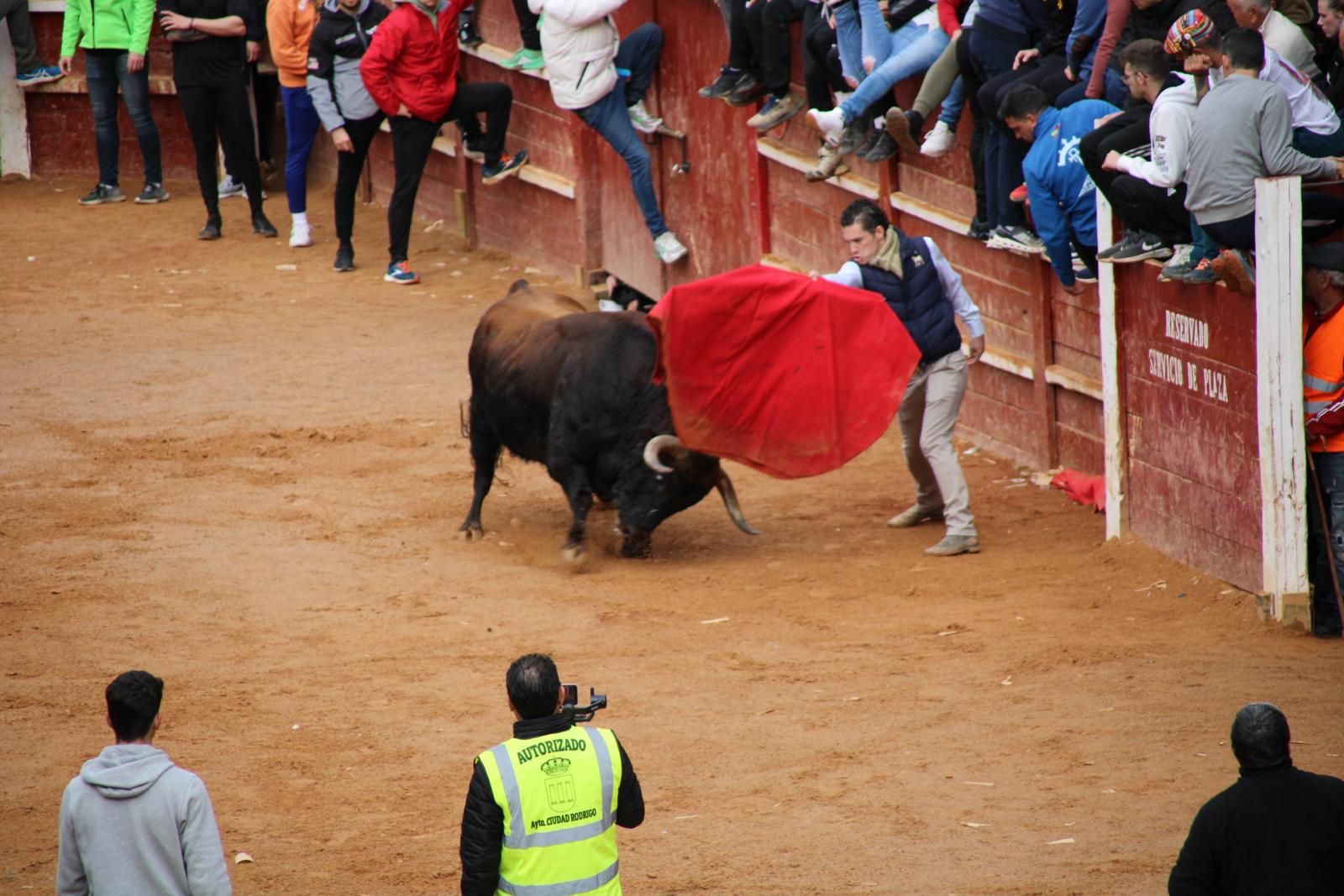 capea-matutina-del-martes-de-carnaval-11