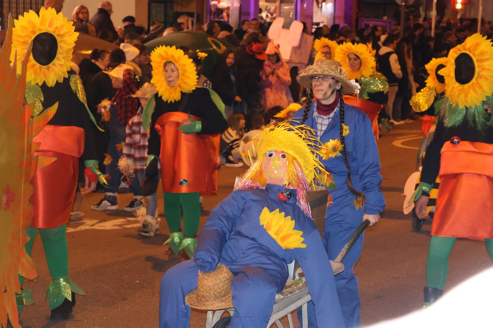GALERÍA | Disfruta de las imágenes del colorido desfile de Carnaval en Zamora