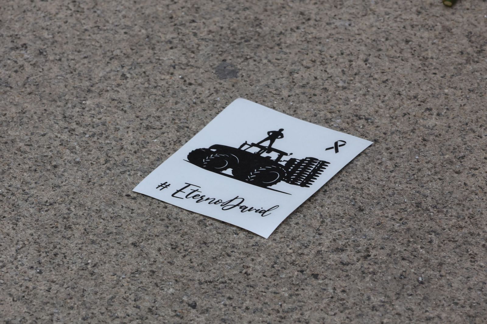 Marcha silenciosa en homenaje a David Lafoz (73).JPG