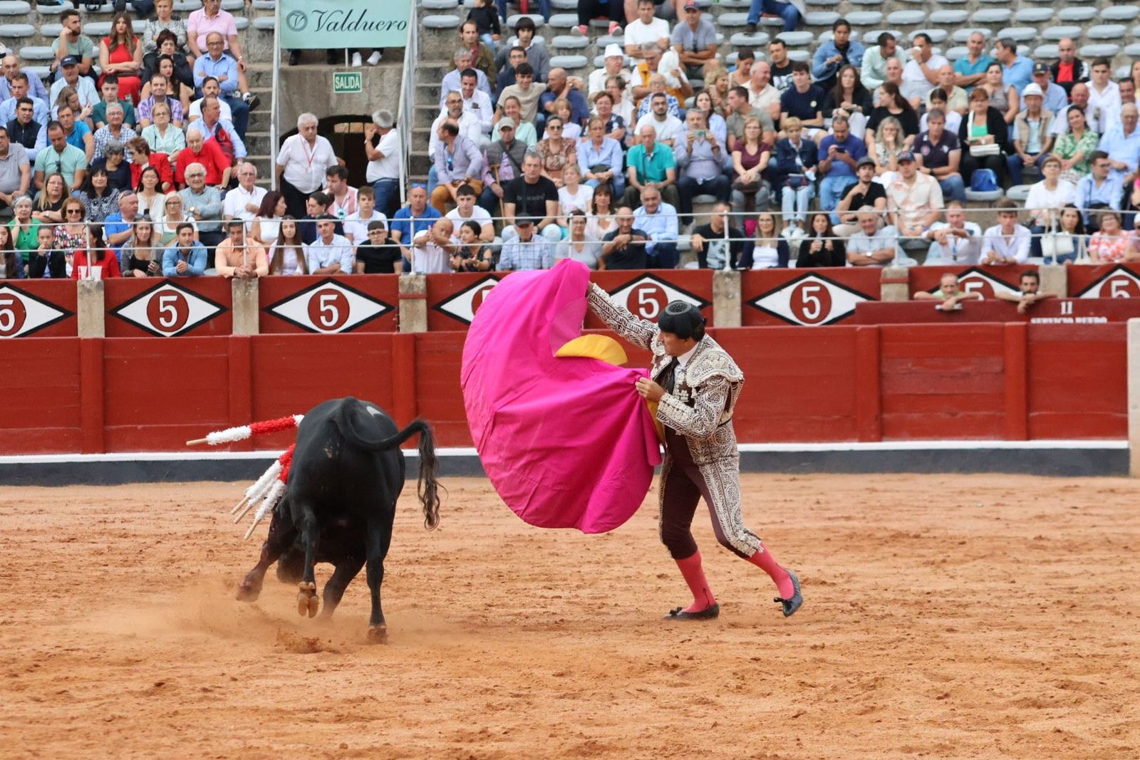 20230909184545-img-0742