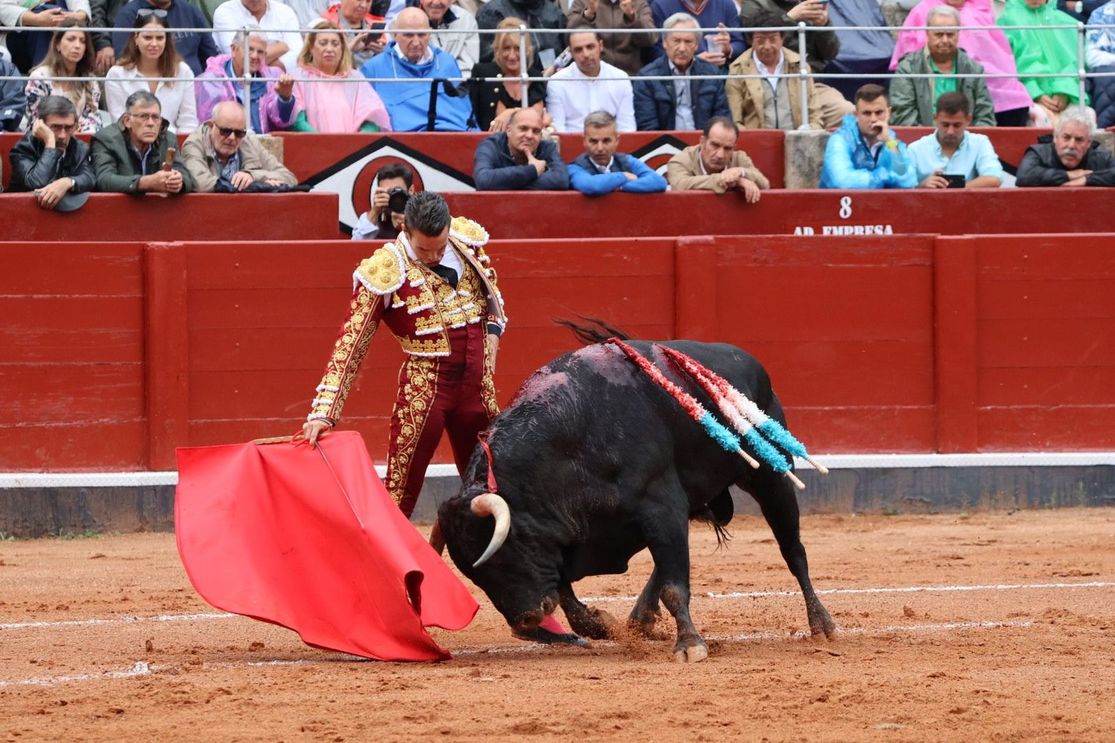 20230916174100-img-5338