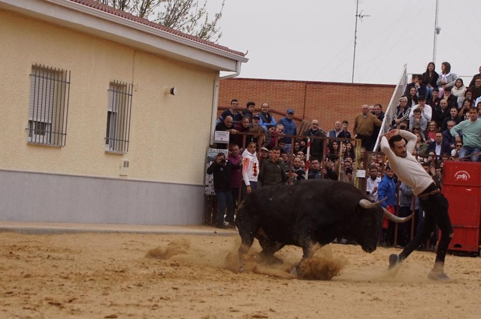 ambiente-y-participacion-durante-el-toro-del-voto-en-villoria-suelta-de-dos-toros-del-cajon-foto-juanes-55