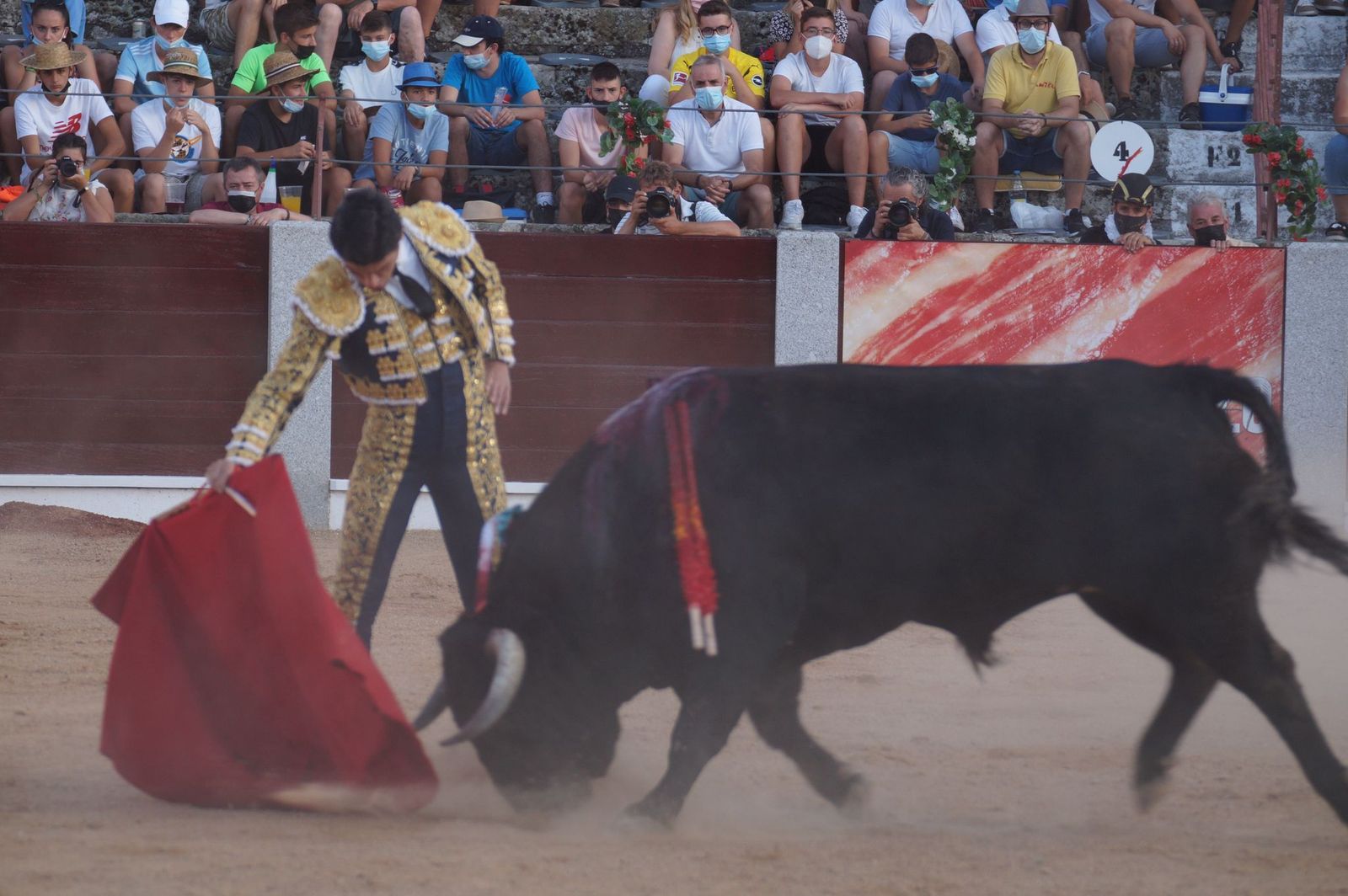 toros-en-guijuelo-15-de-agosto-53