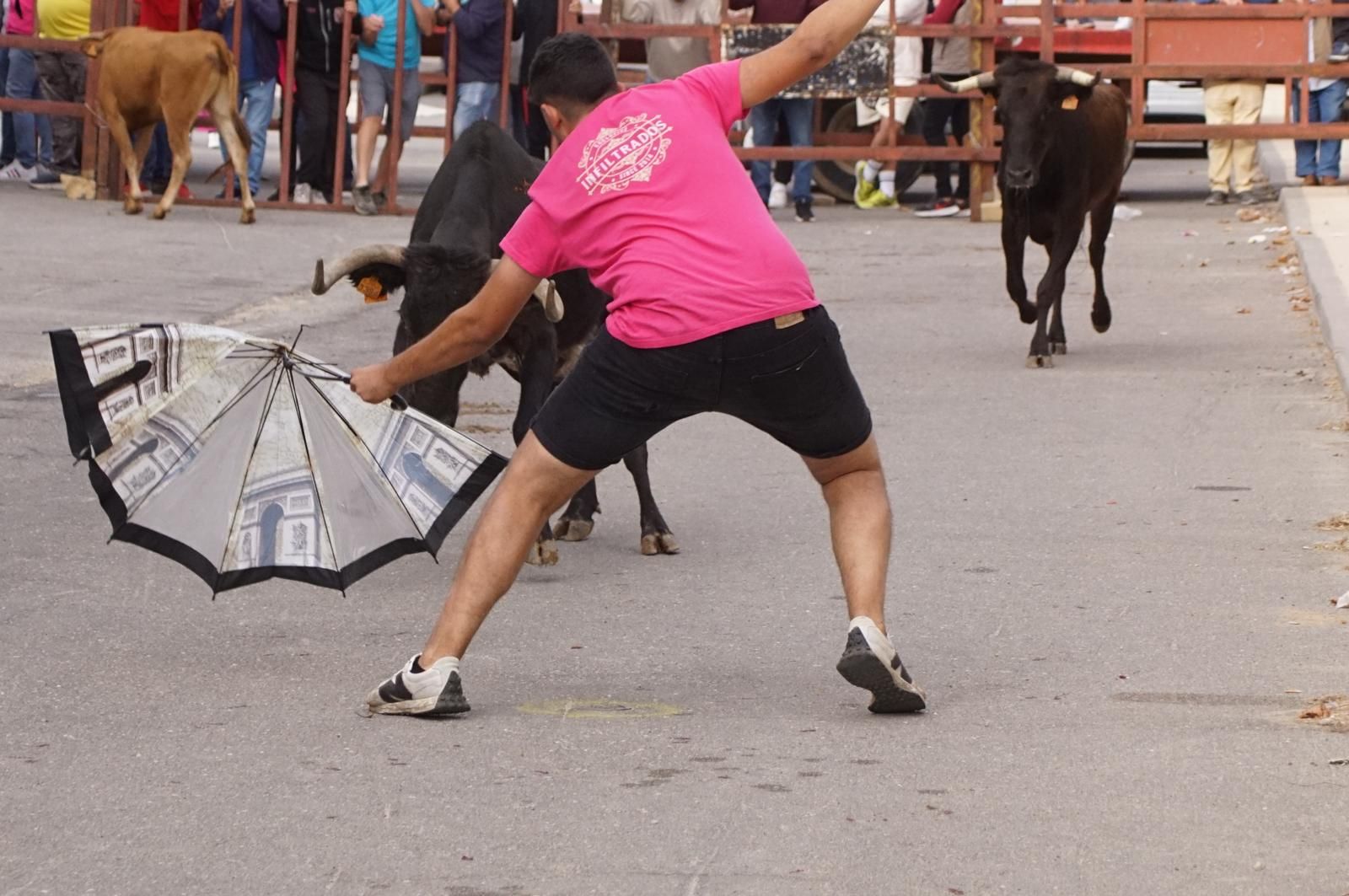 whatsapp-image-2024-09-08-at-14-04-57-4