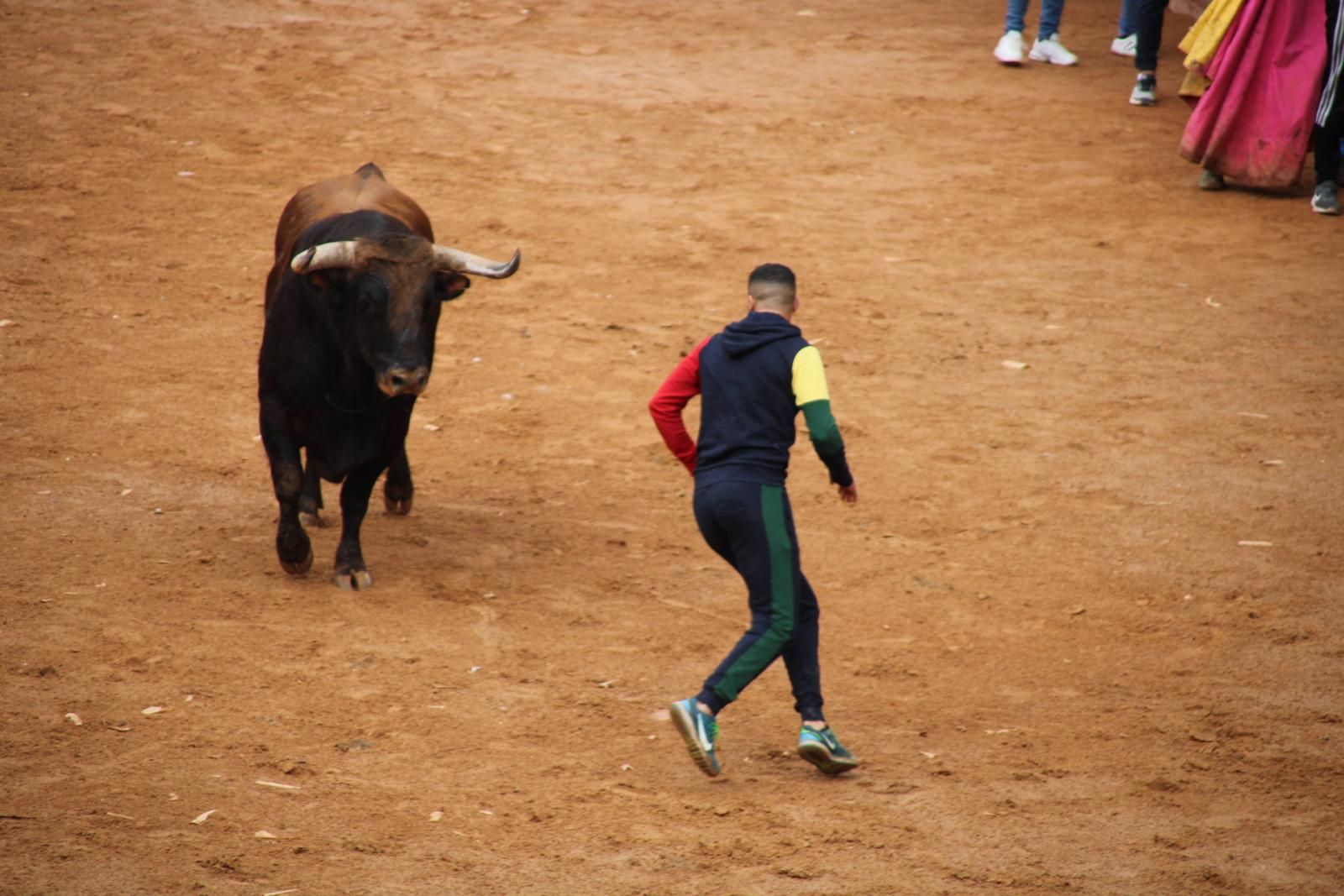 capea-matutina-del-martes-de-carnaval-36