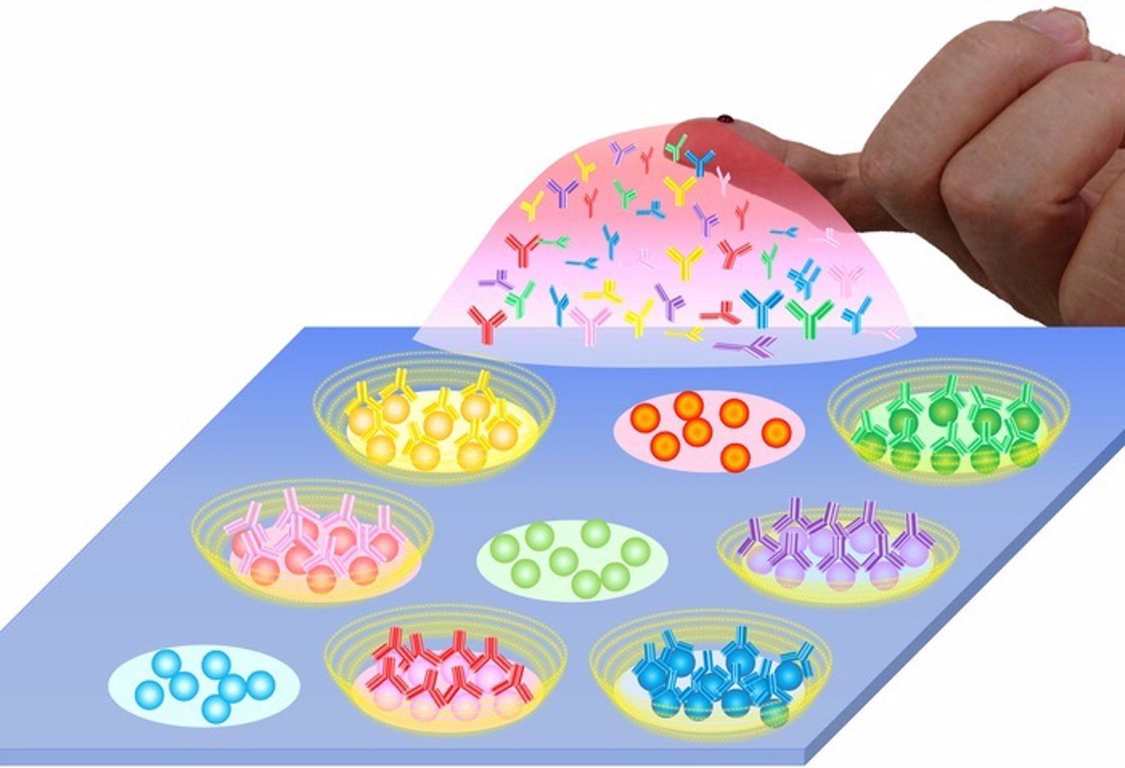 Los investigadores desarrollaron un chip en el que se fijan las claves SARS-CoV-2. Es necesaria una pequeña gota de sangre de la yema del dedo y la sensibilidad del sistema es 500 veces mayor que la del método convencional.