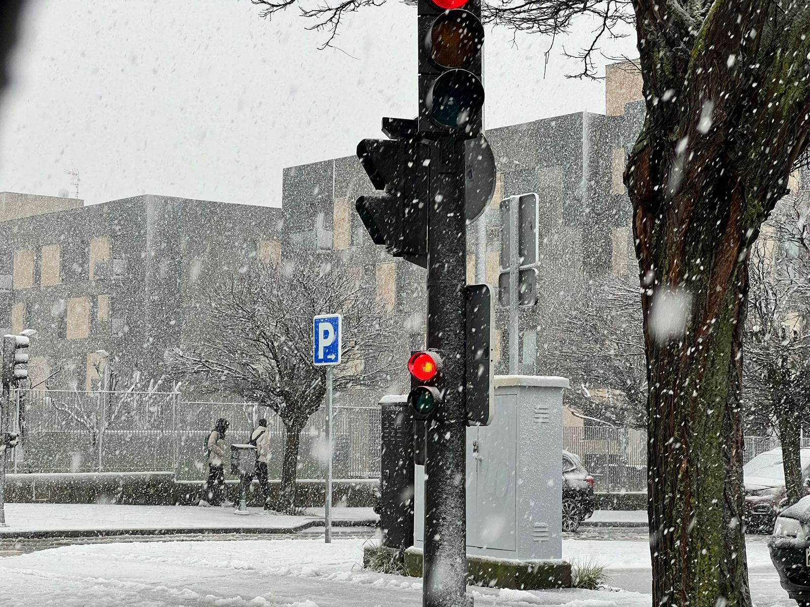 Nevada en Salamanca 28 de enero 2026