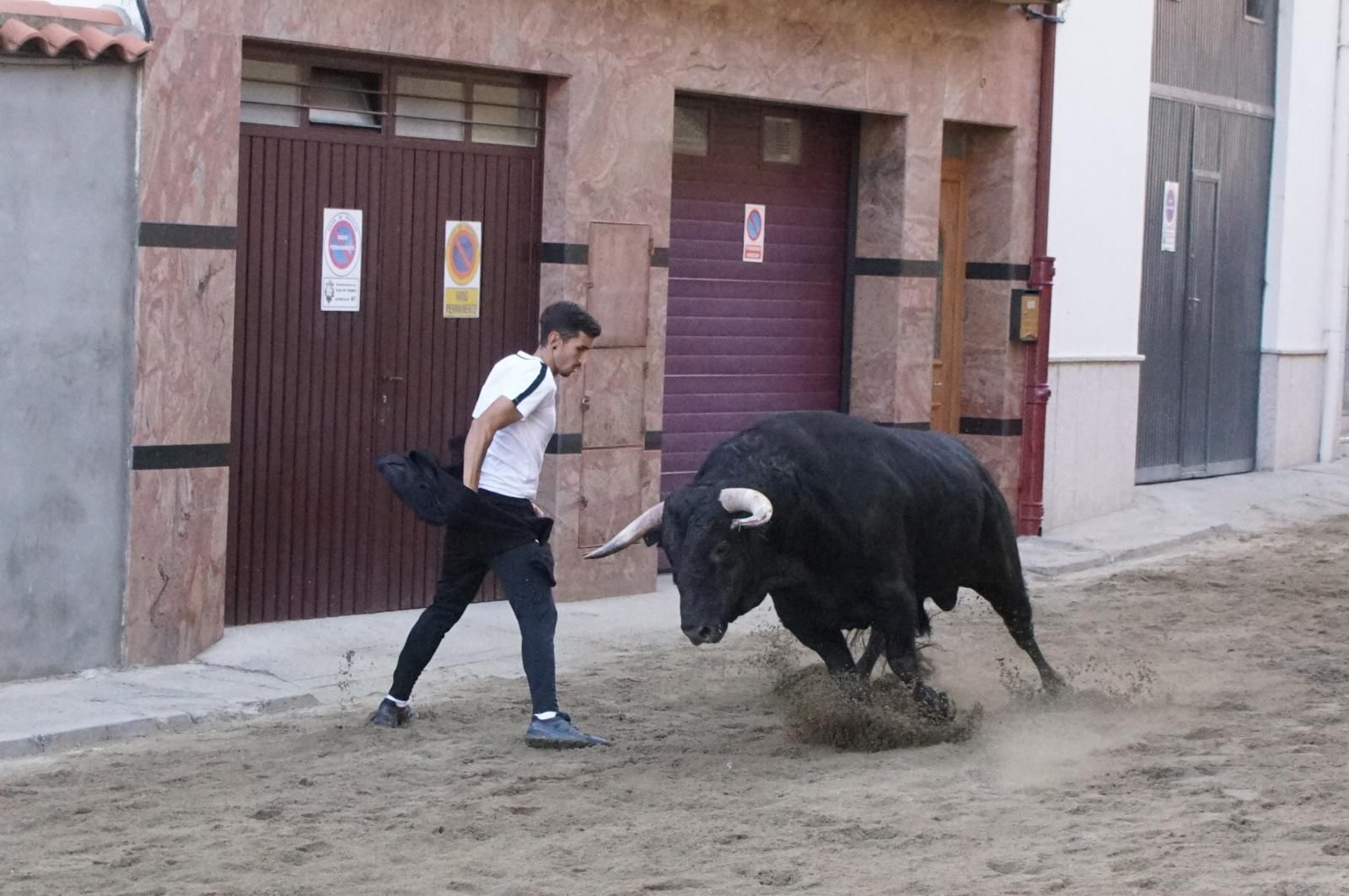 Toro del cajón y capea en Alba de Tormes