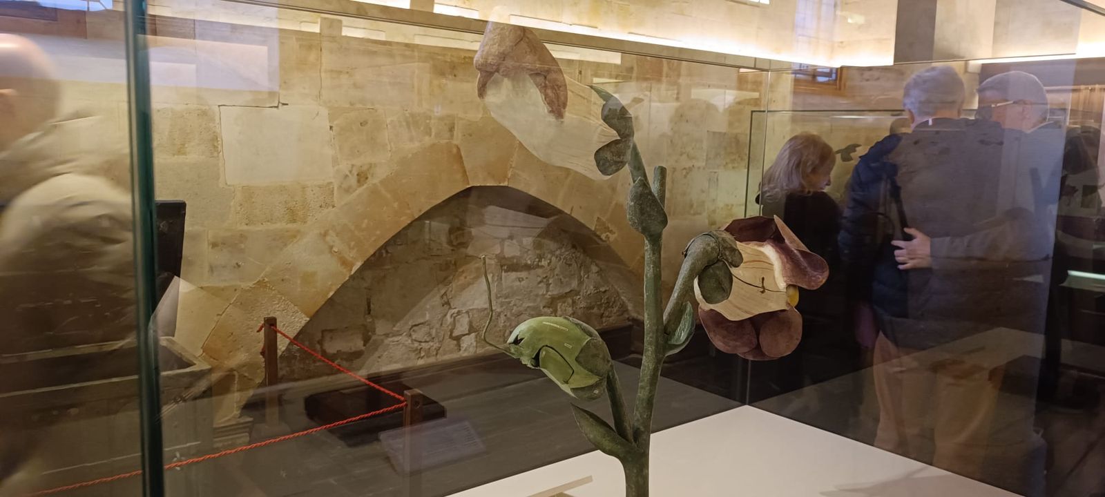 exposicion-botanica-24