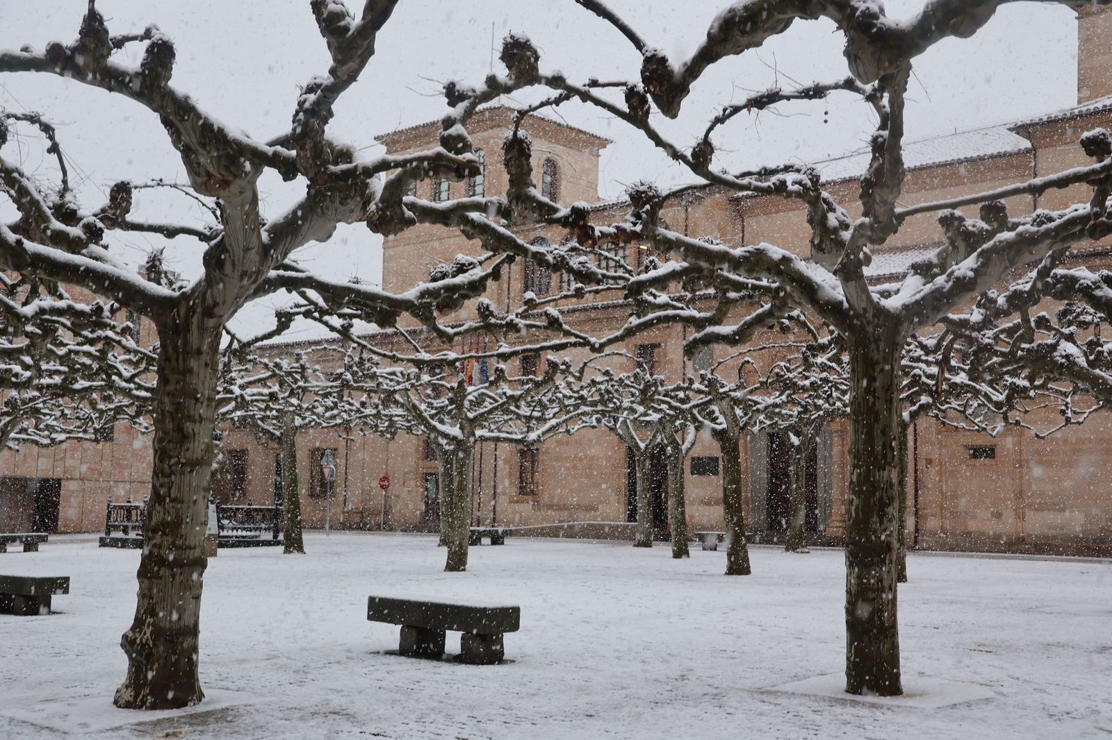 GALERÍA | Nieve en Zamora capital este miércoles
