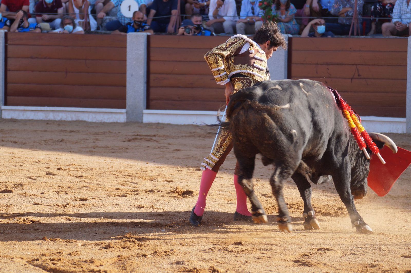 toros-en-guijuelo-15-de-agosto-36
