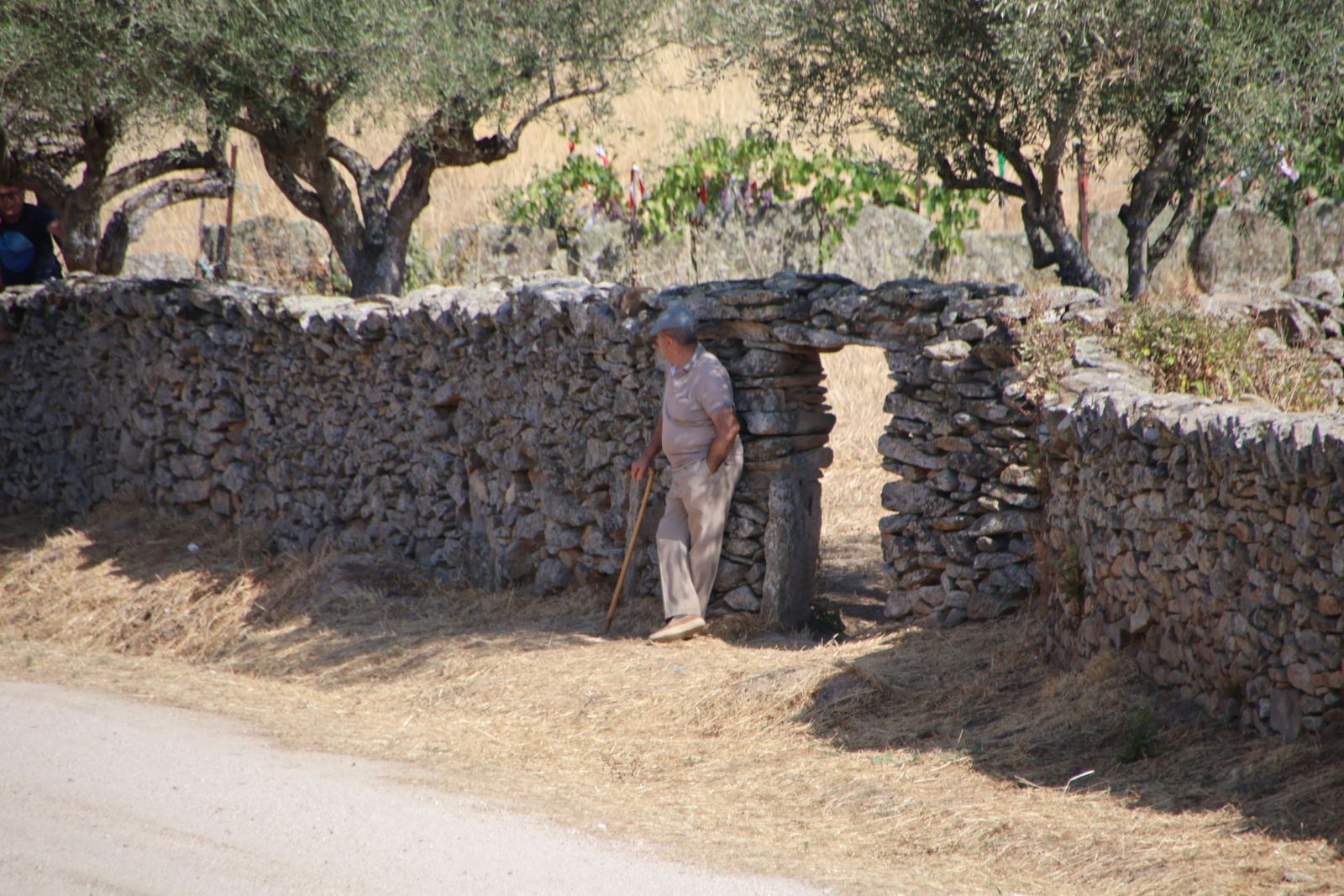 Lumbrales encierro a caballo