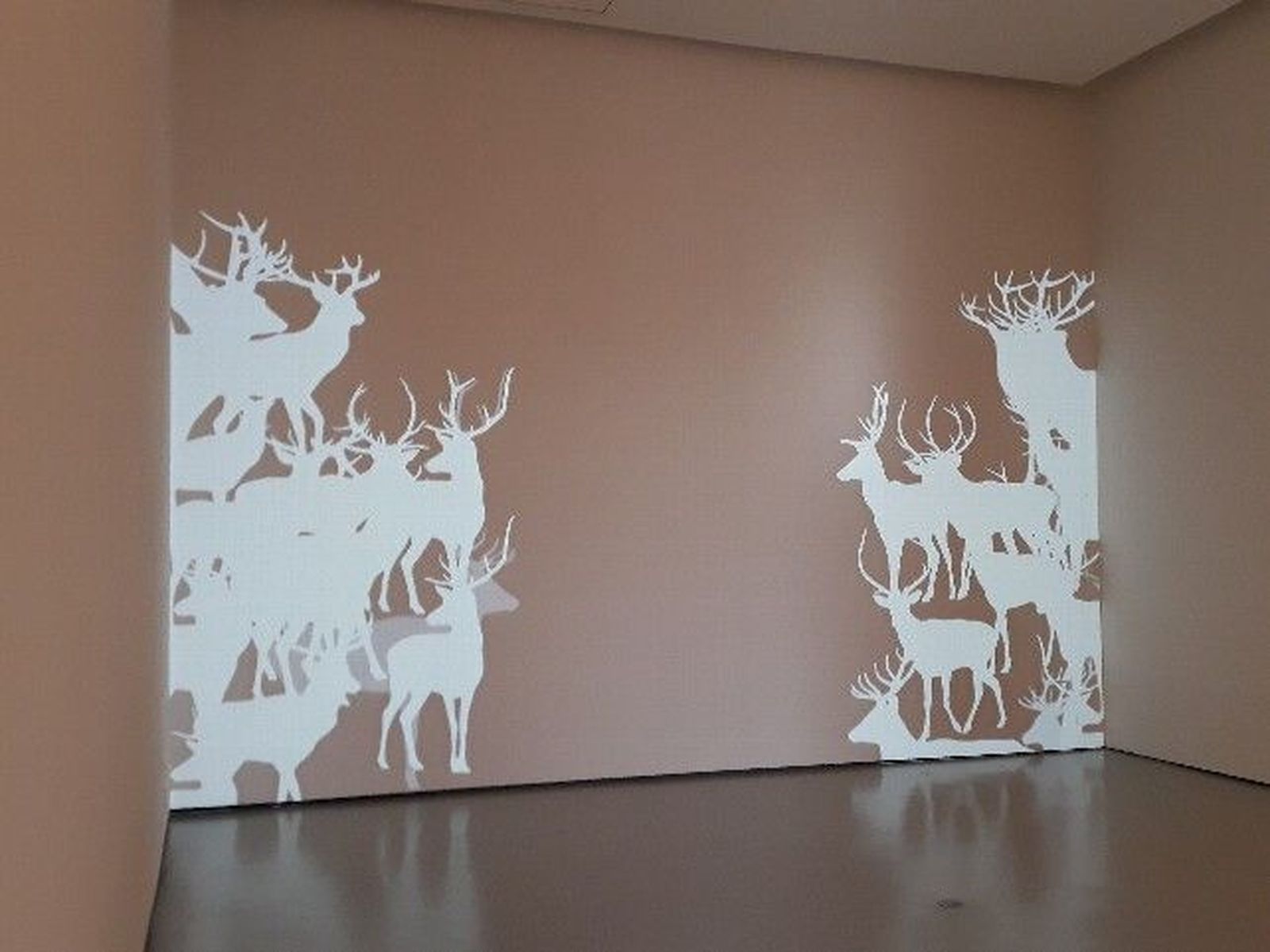 1518179861271CAB exposiciondn