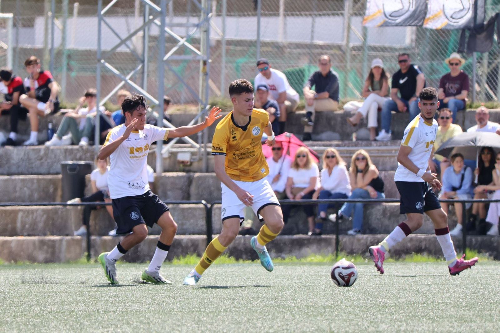 20240414121900-img-8878