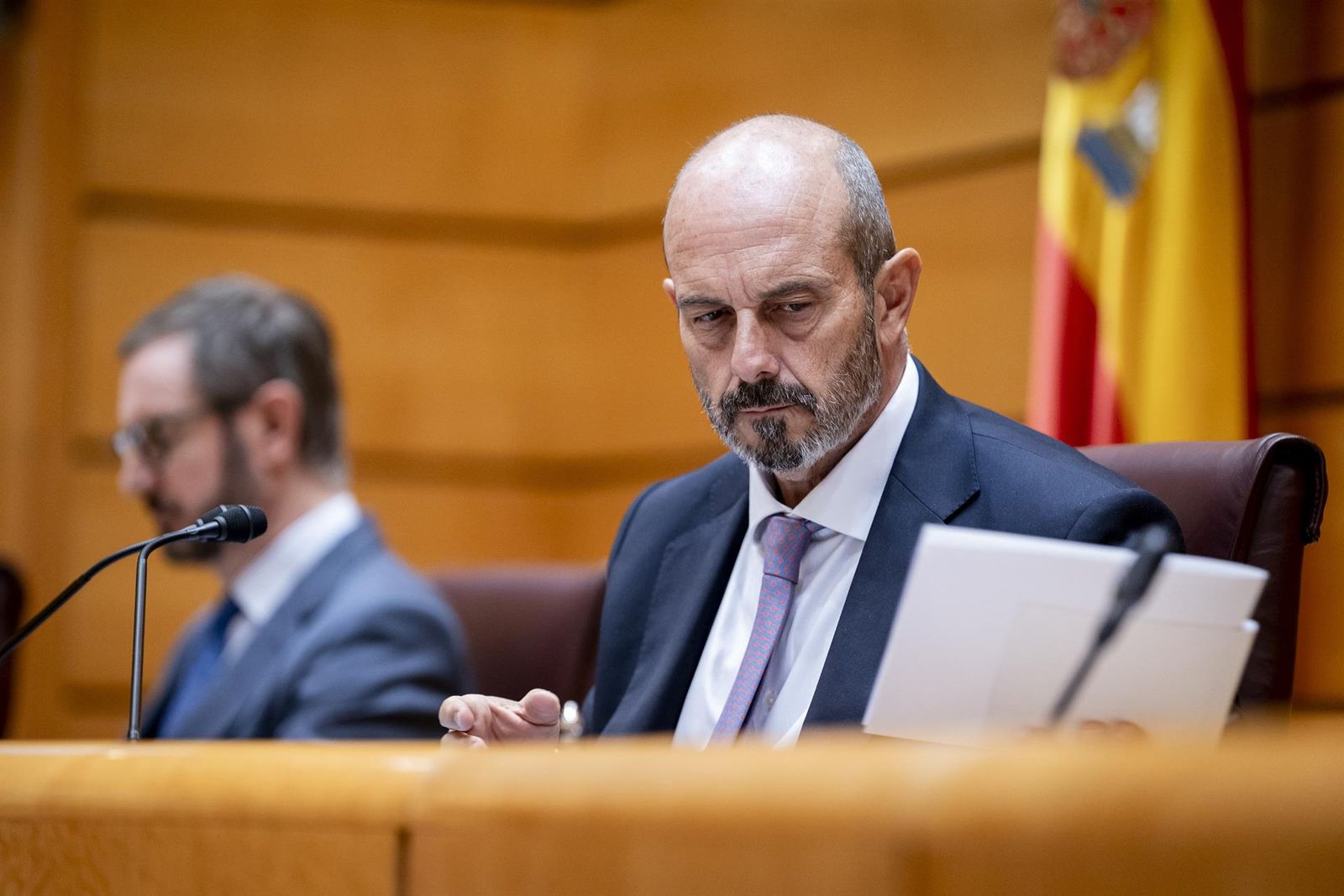 El presidente del Senado, Pedro Rollán, durante una sesión plenaria. A. Pérez Meca - Europa Press