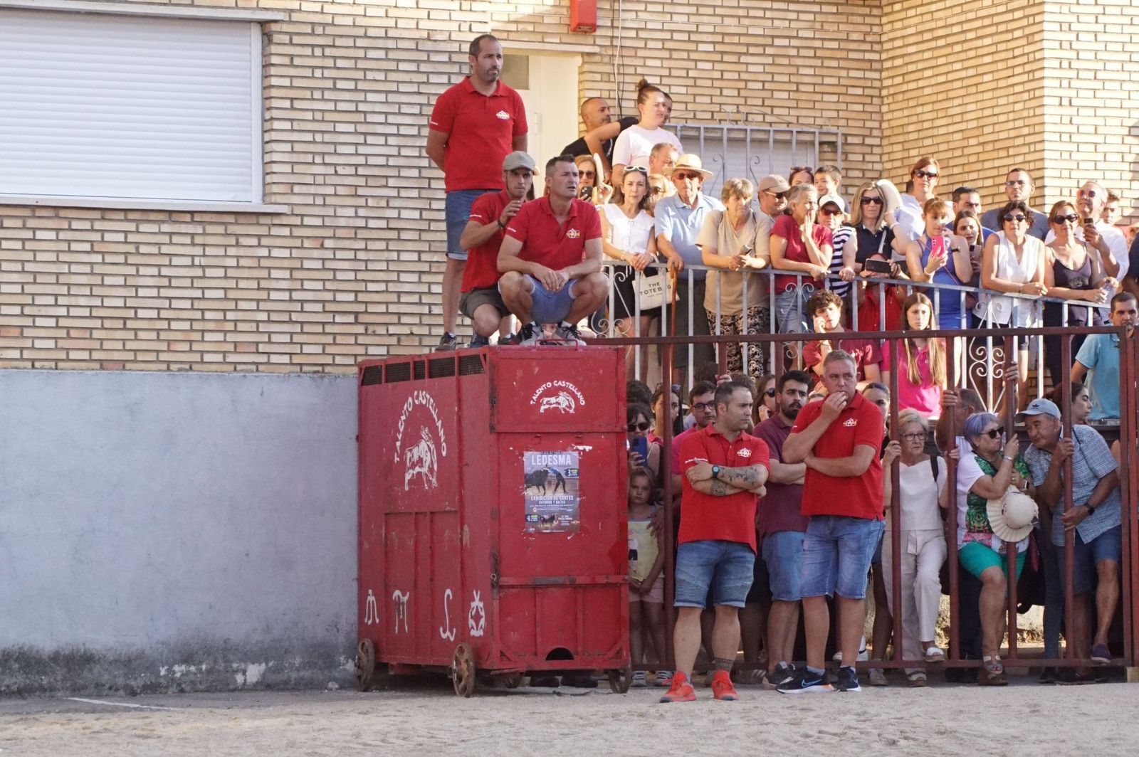 whatsapp-image-2024-08-04-at-21-09-58-2