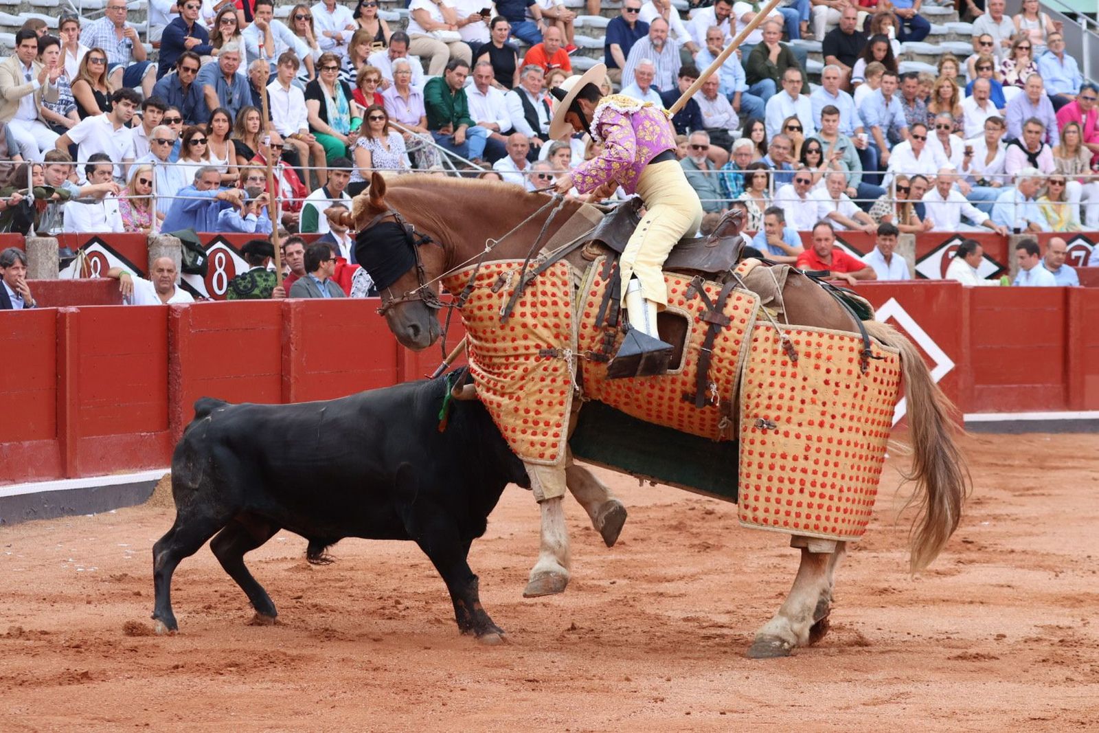 20230910175736-img-1937