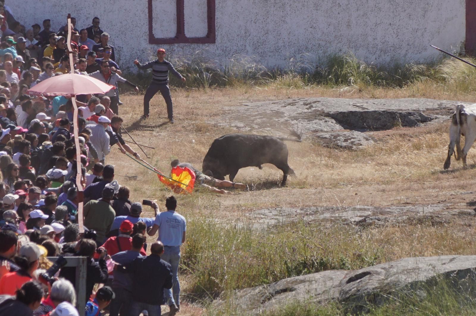 herido-un-hombre-tras-ser-volteado-por-un-astado-en-los-espantos-de-ledesma-foto-juanes-6