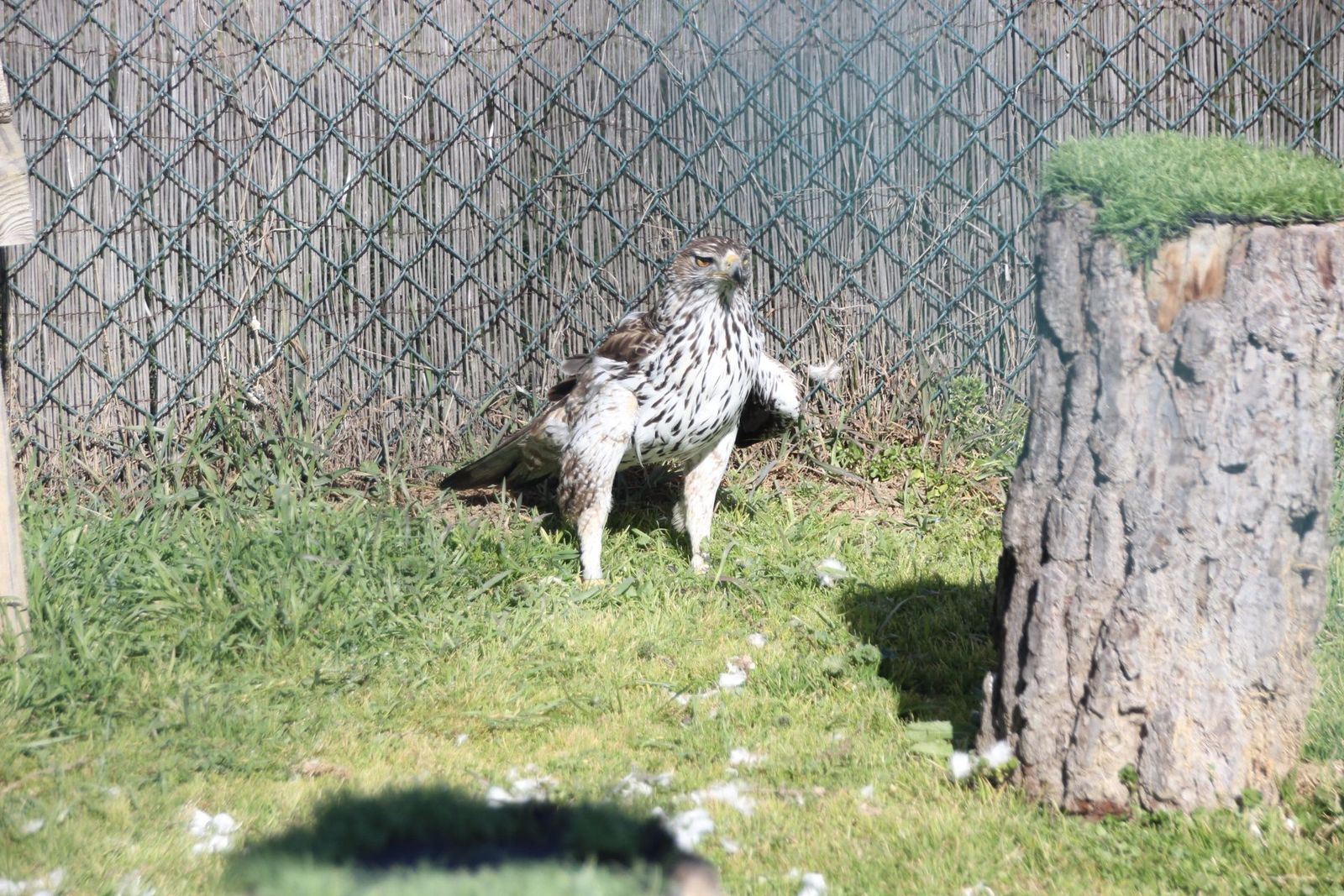 20230304150822-img-1632