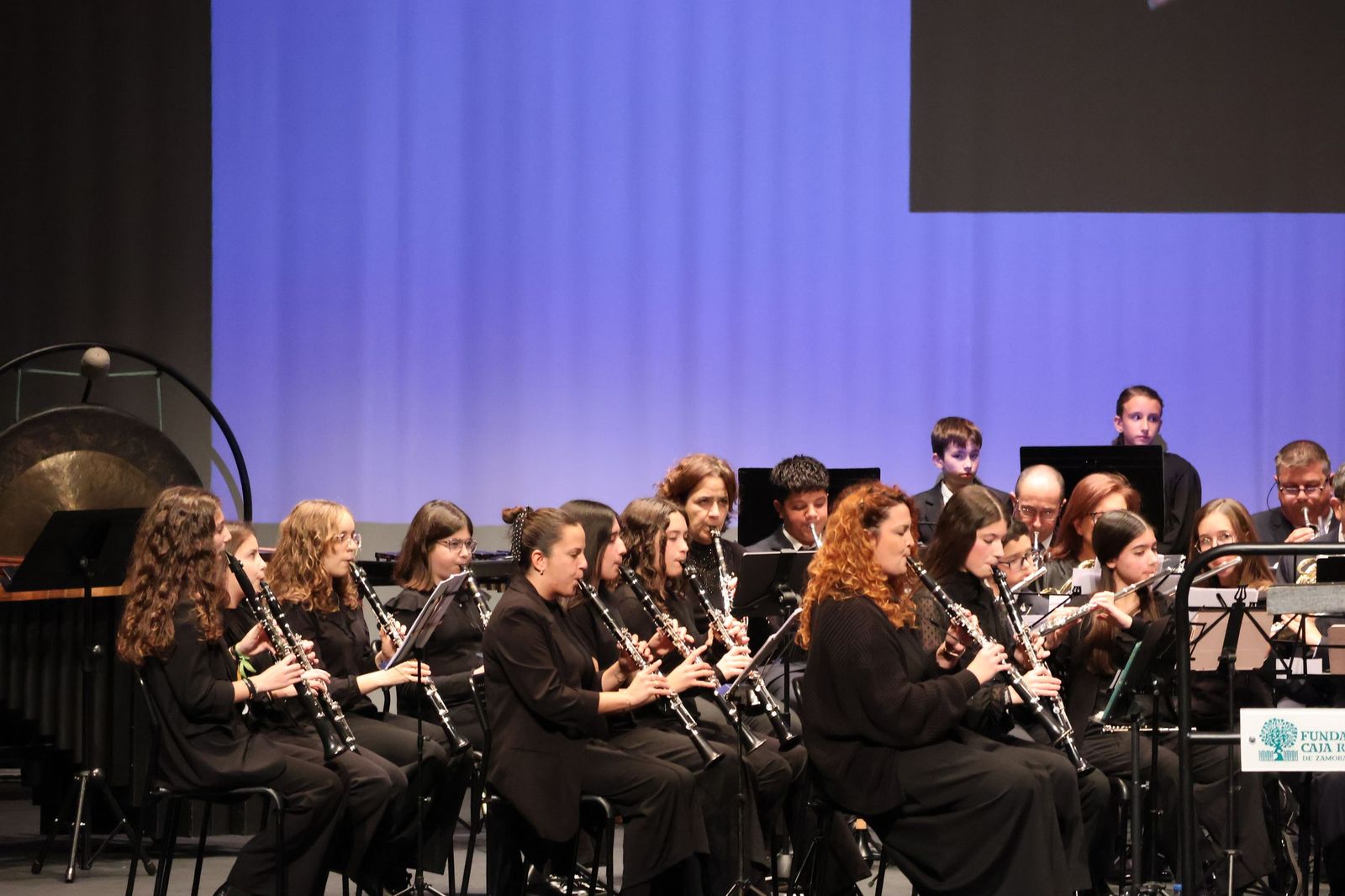 Concierto contra la Violencia de Género en el Ramos Carrión (26).JPG