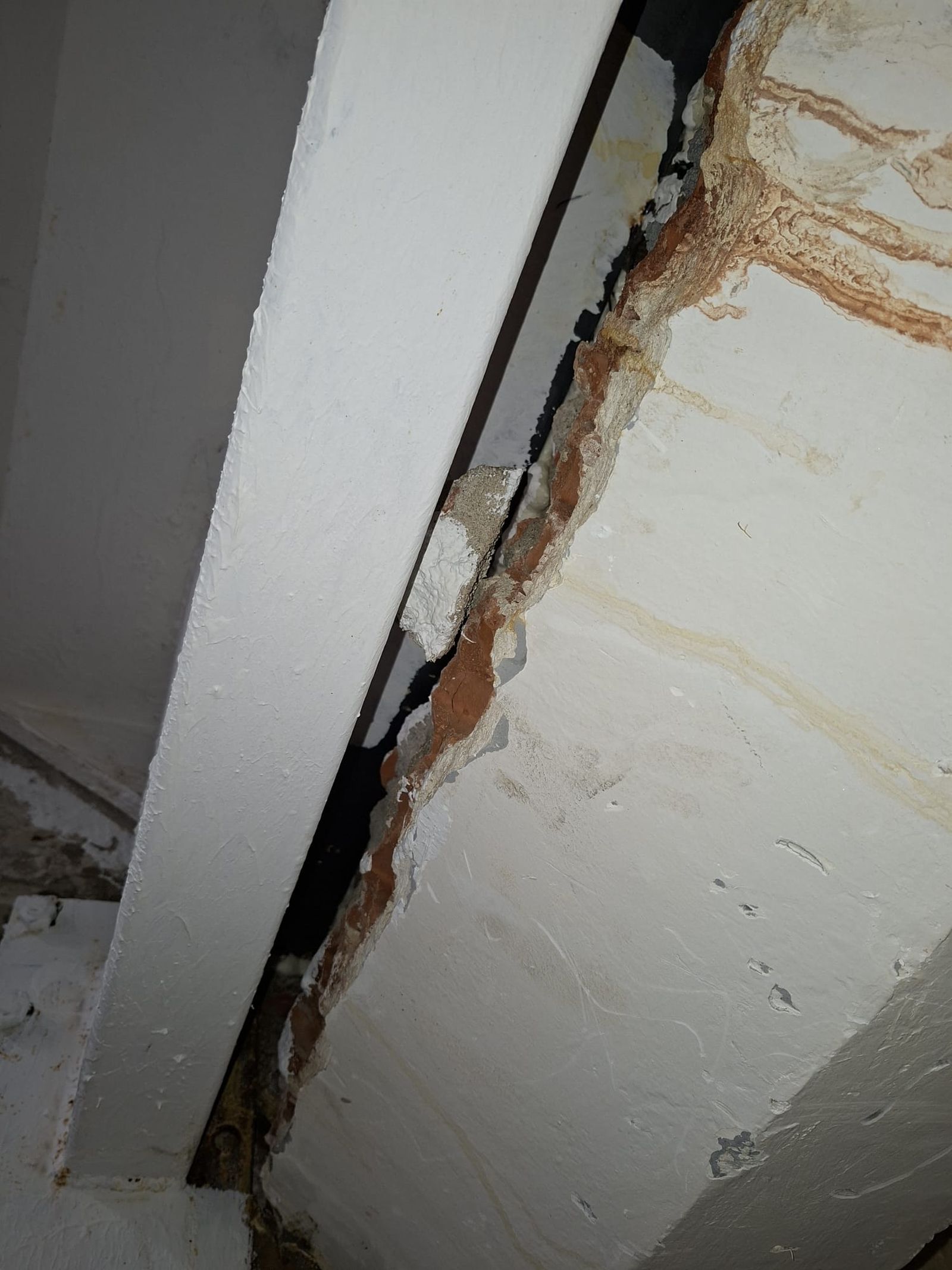 Bloques calle Río Riofrío  (5).jpeg