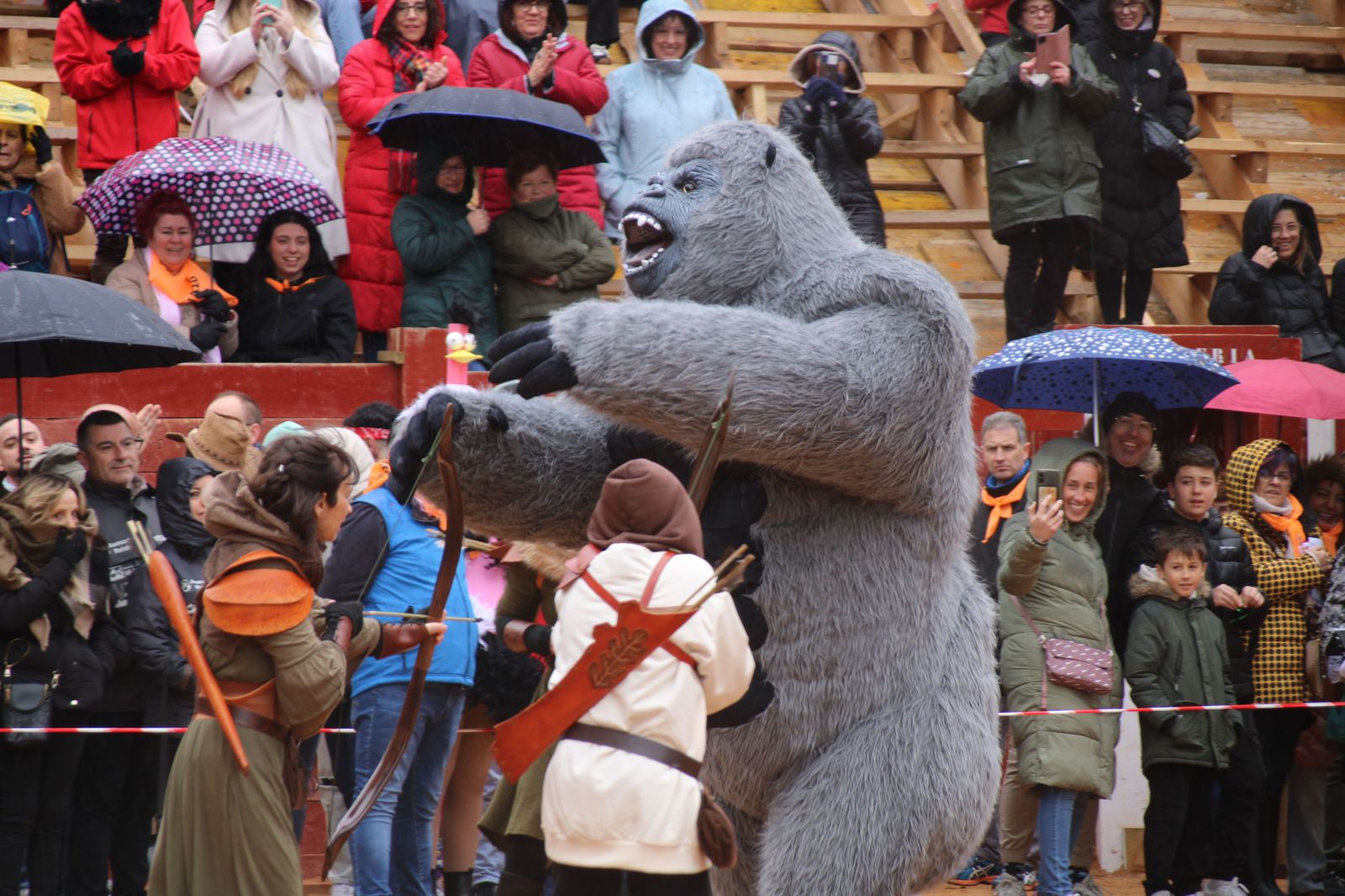 desfile-disfraz-callejero-sabado-carnaval-ciudad-rodrigo-2025-39