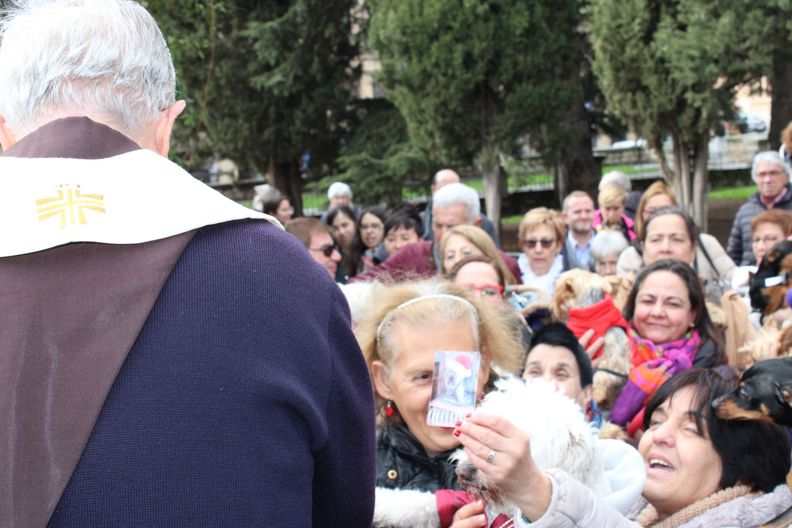 san-anton-bendicion-de-animales-2024-foto-s24h-61