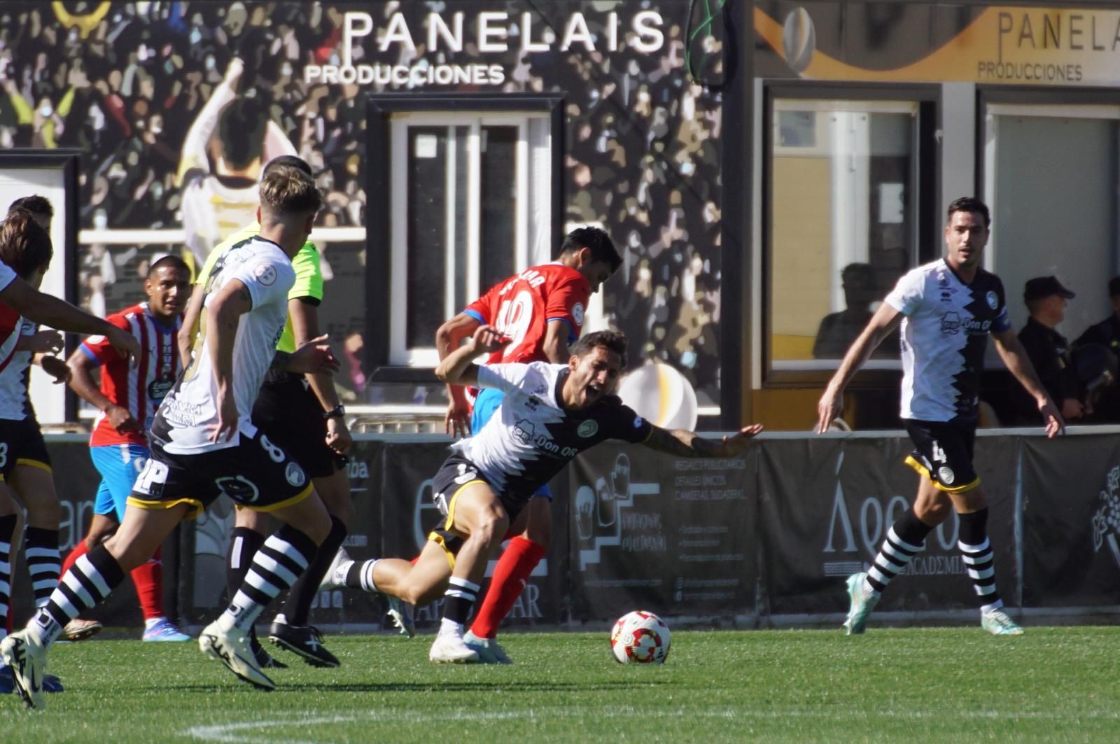 whatsapp-image-2024-10-13-at-13-04-29-5