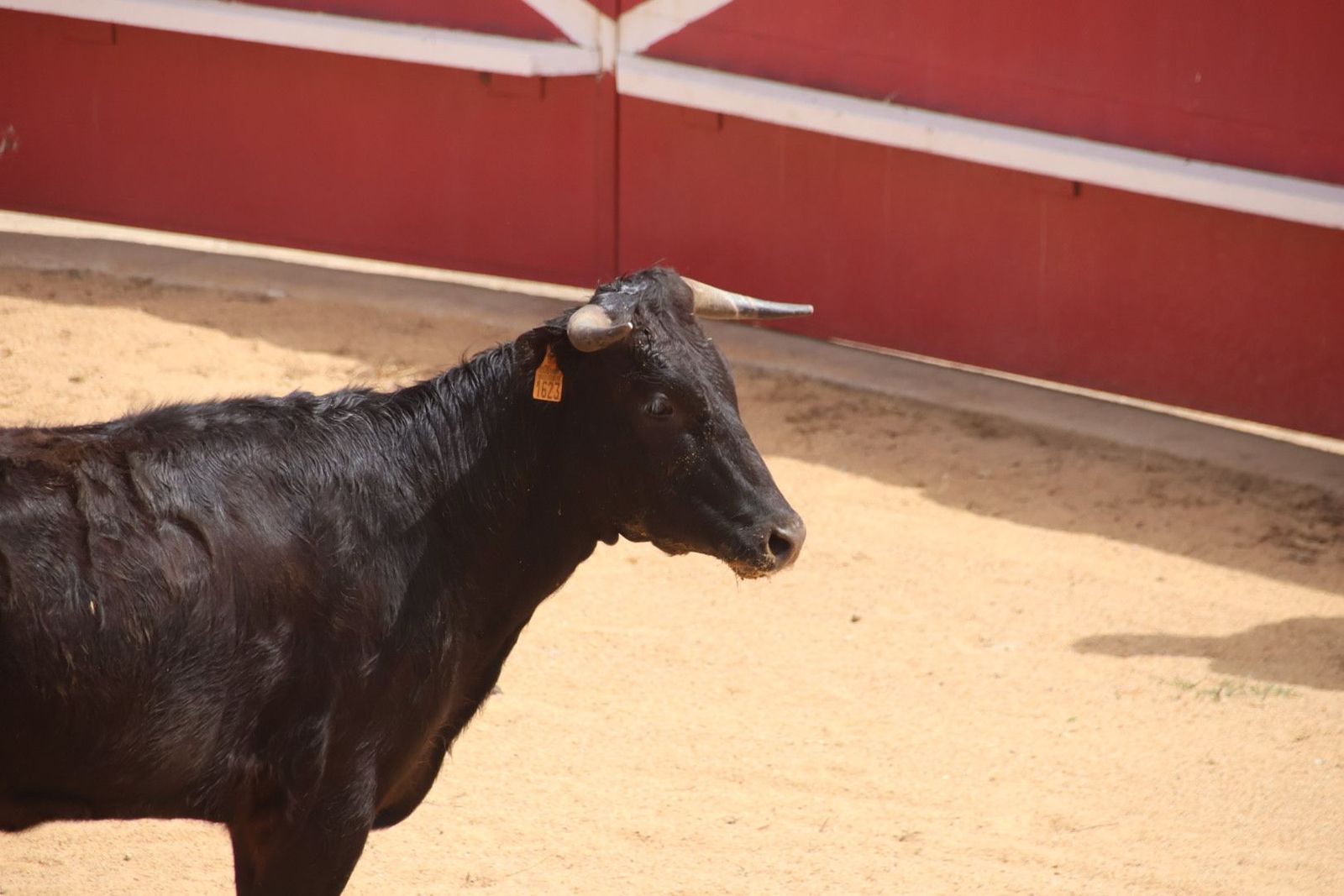 20230809120256-img-9616