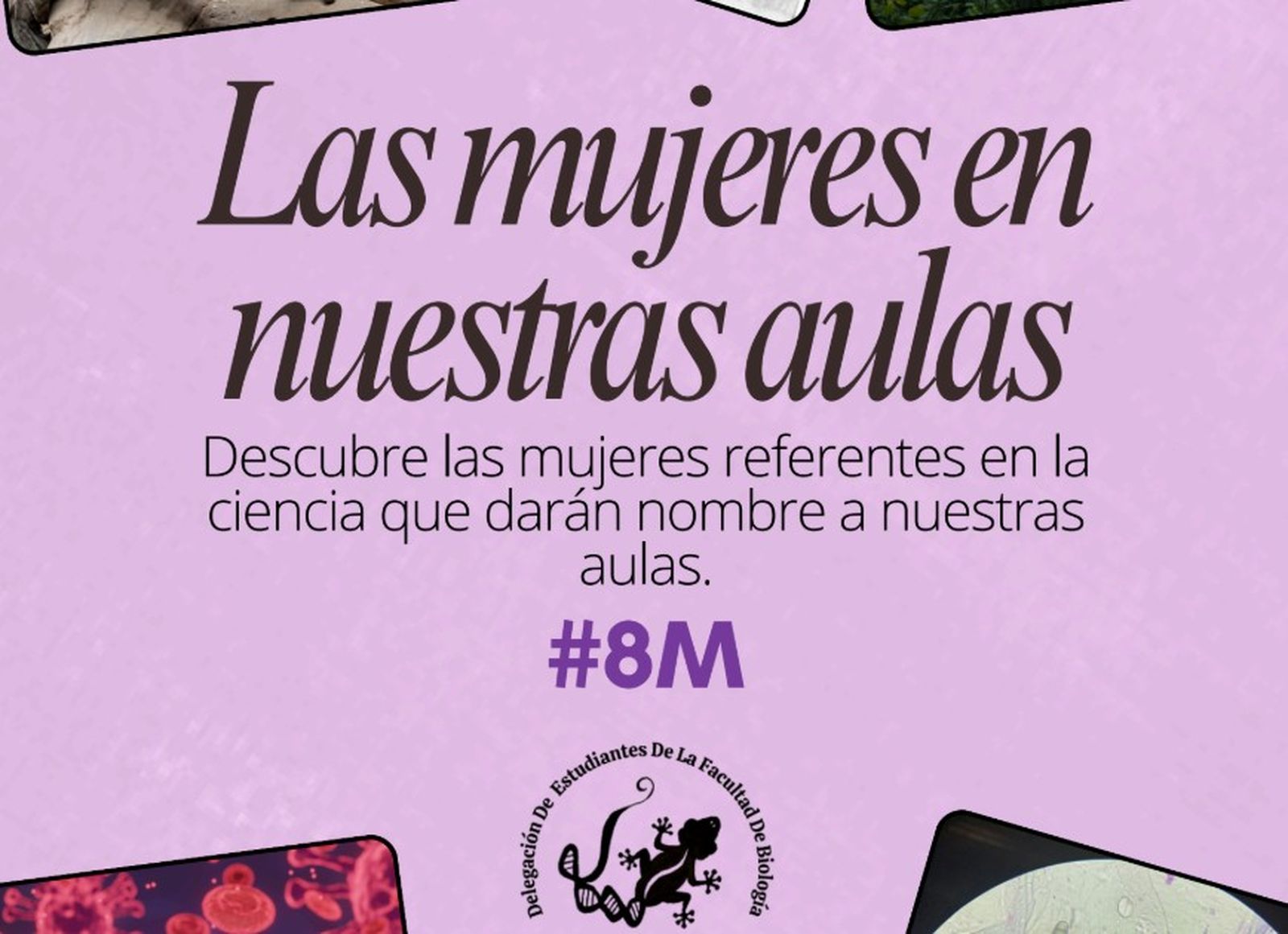 'Mujeres en el aula', una iniciativa creada por alumnos de la Facultad de Biología de la USAL