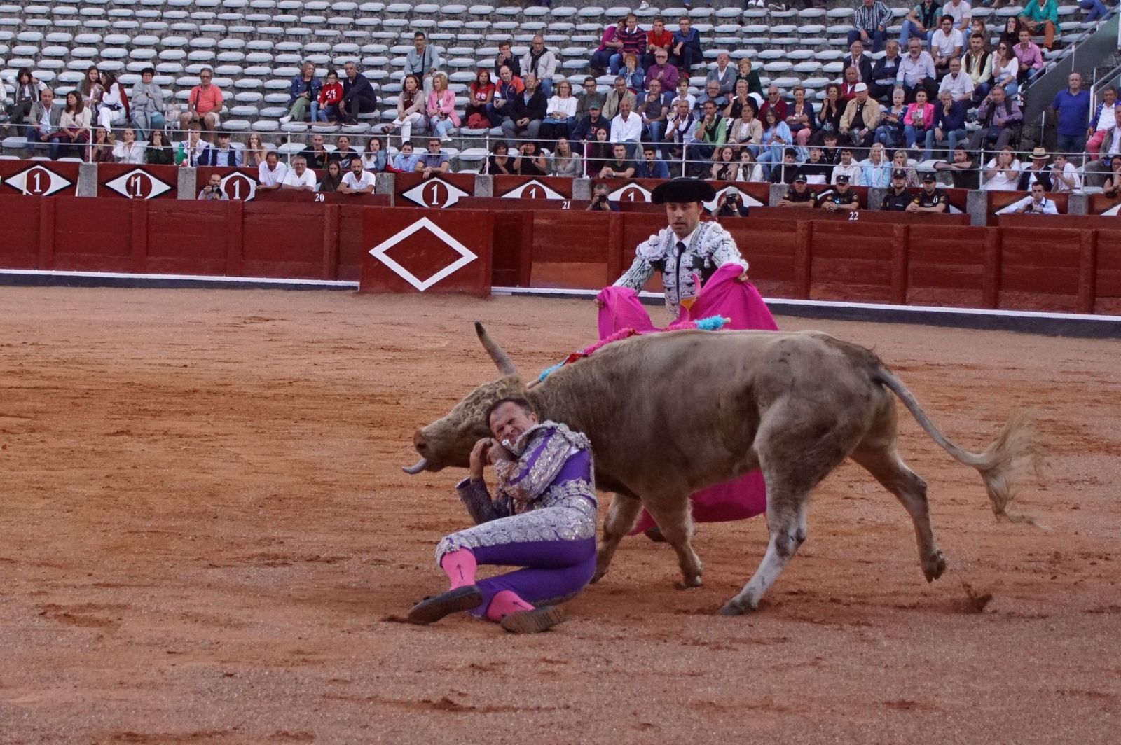 whatsapp-image-2022-09-08-at-9-20-26-pm-2