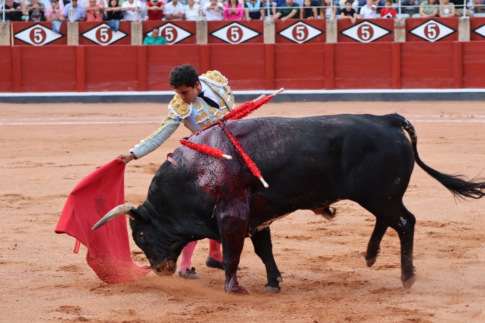 20230910185925-img-2203