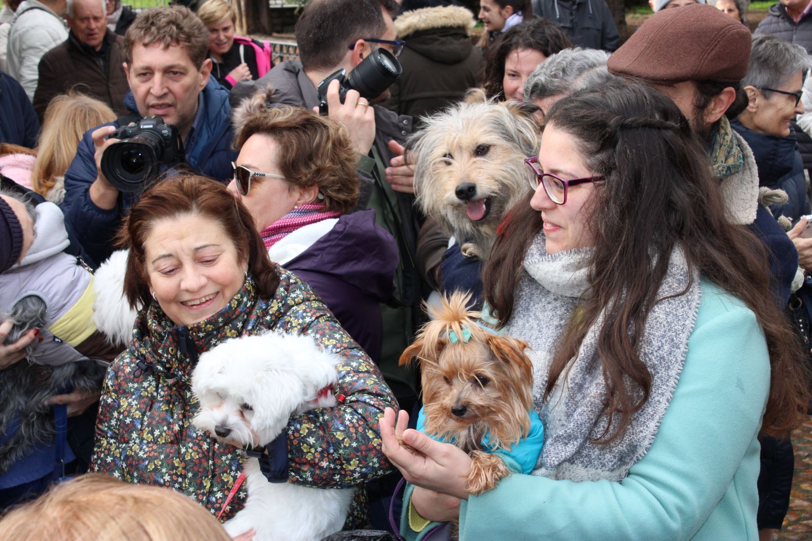 san-anton-bendicion-de-animales-2024-foto-s24h-89