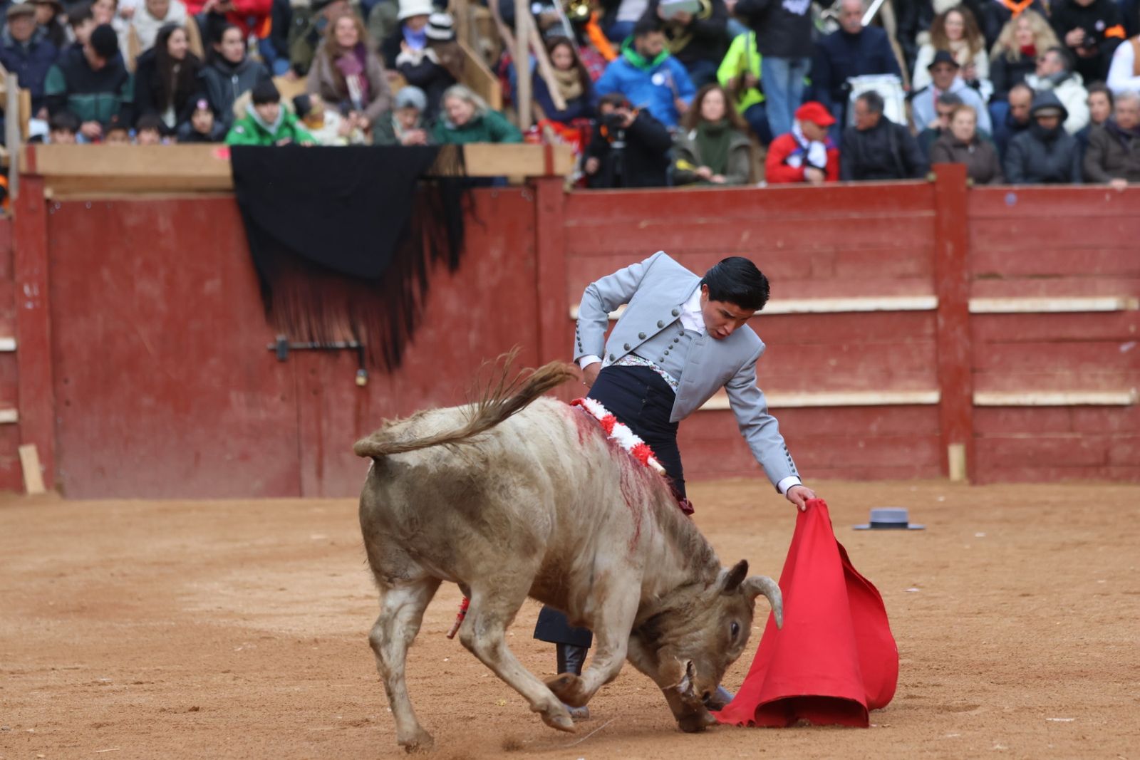 Novillada sin picadores del bolsín taurino y rejones en Ciudad Rodrigo
