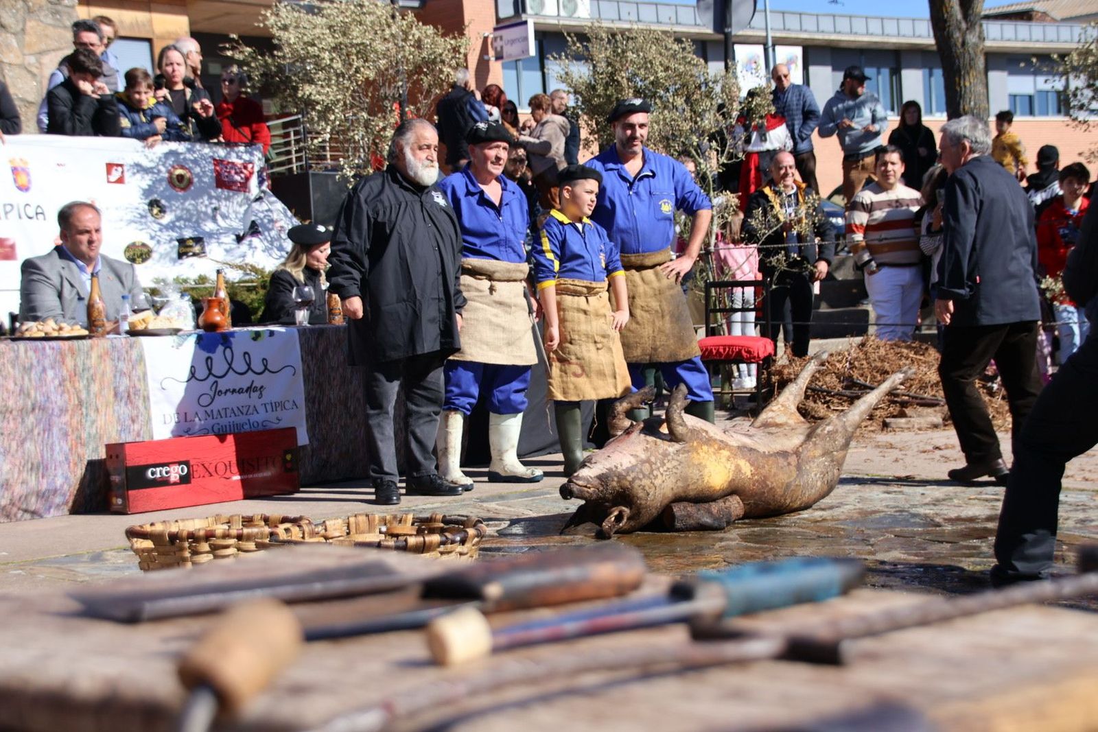 20240203132939-img-4494