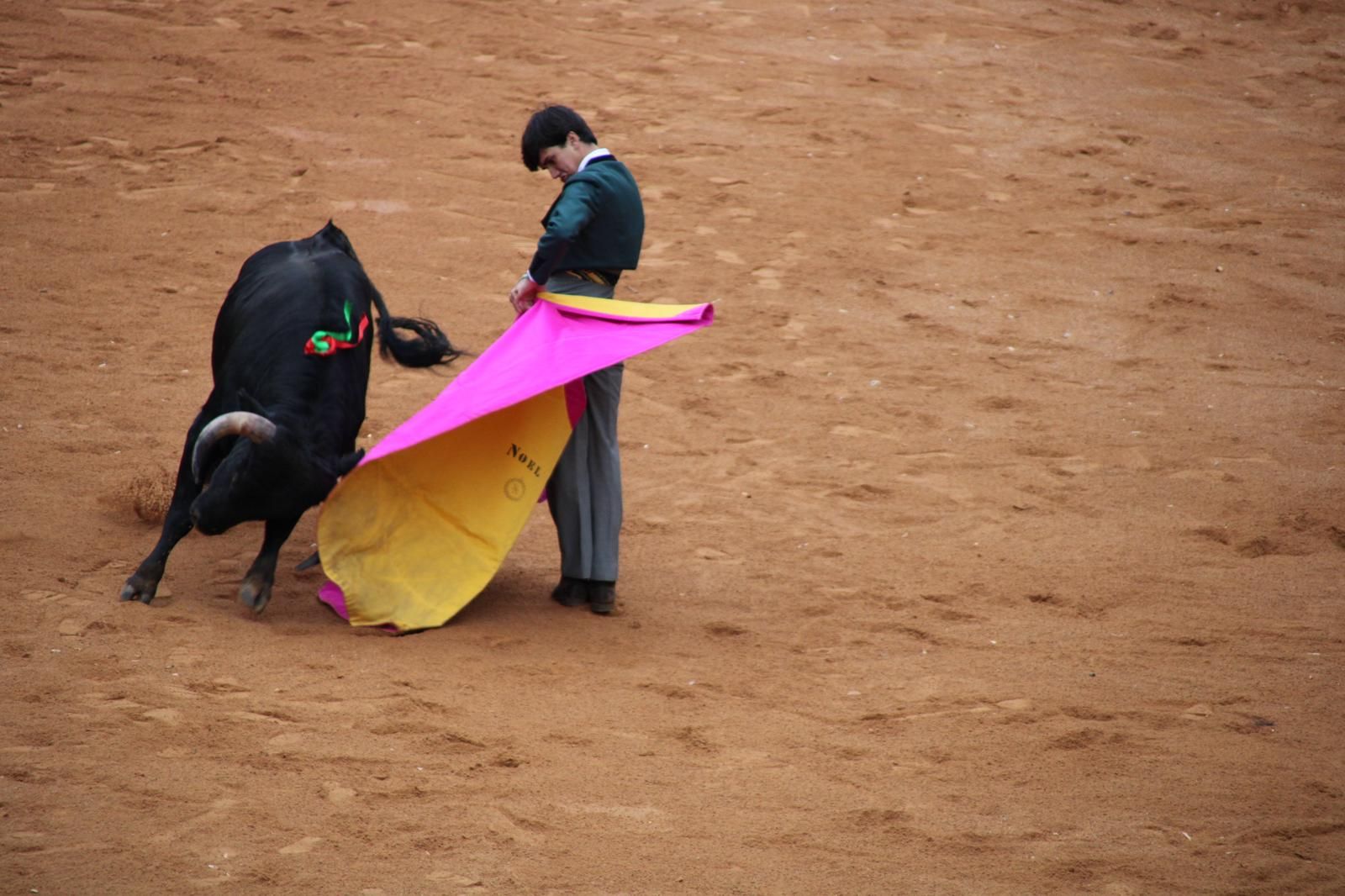 whatsapp-image-2025-03-02-at-18-55-00